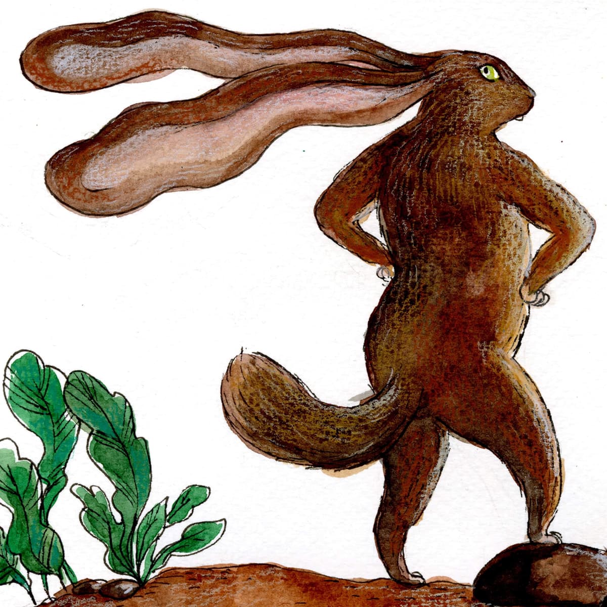 Encore: The Most Fabulous Fur of All - Circle Round cover