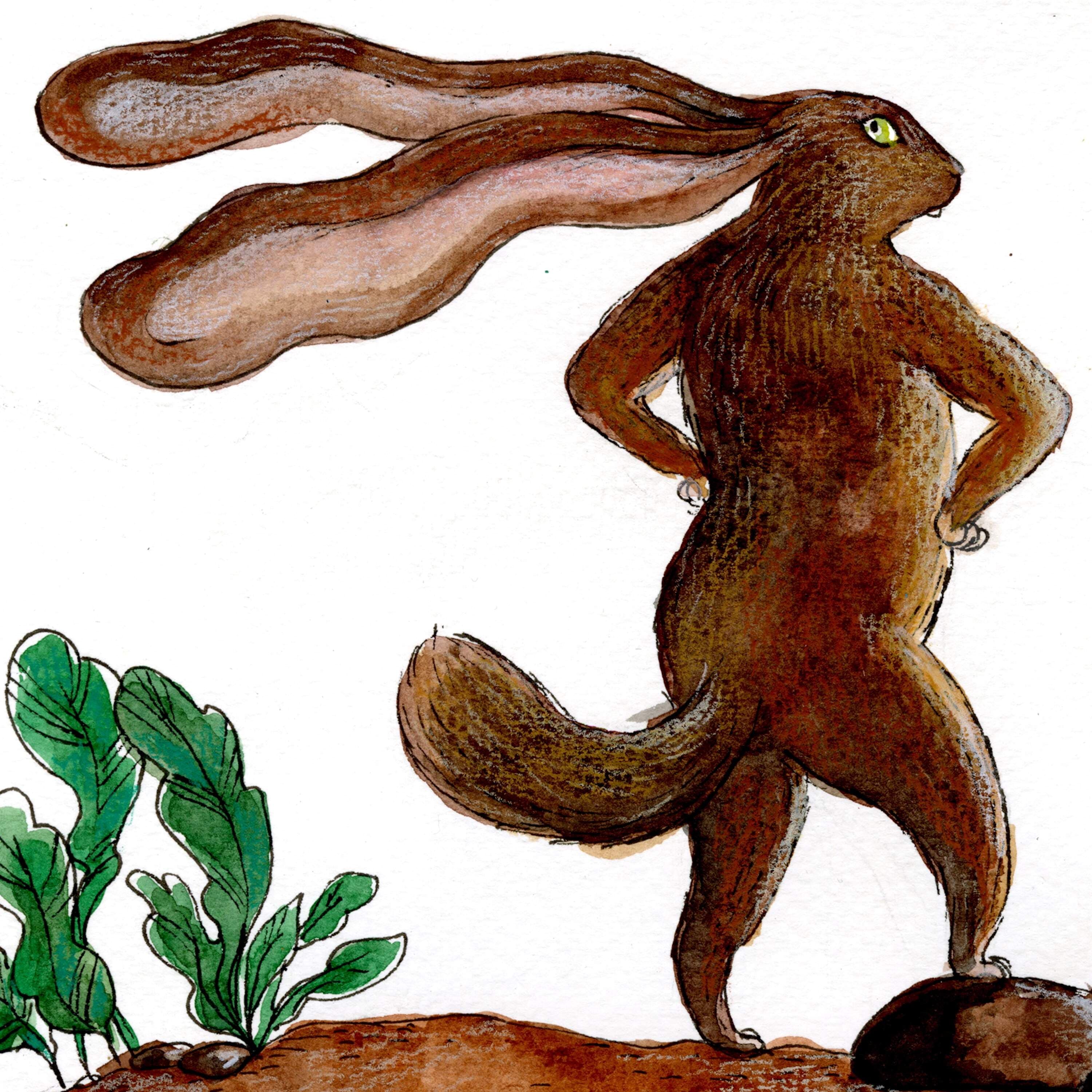 Encore: The Most Fabulous Fur of All - Circle Round cover