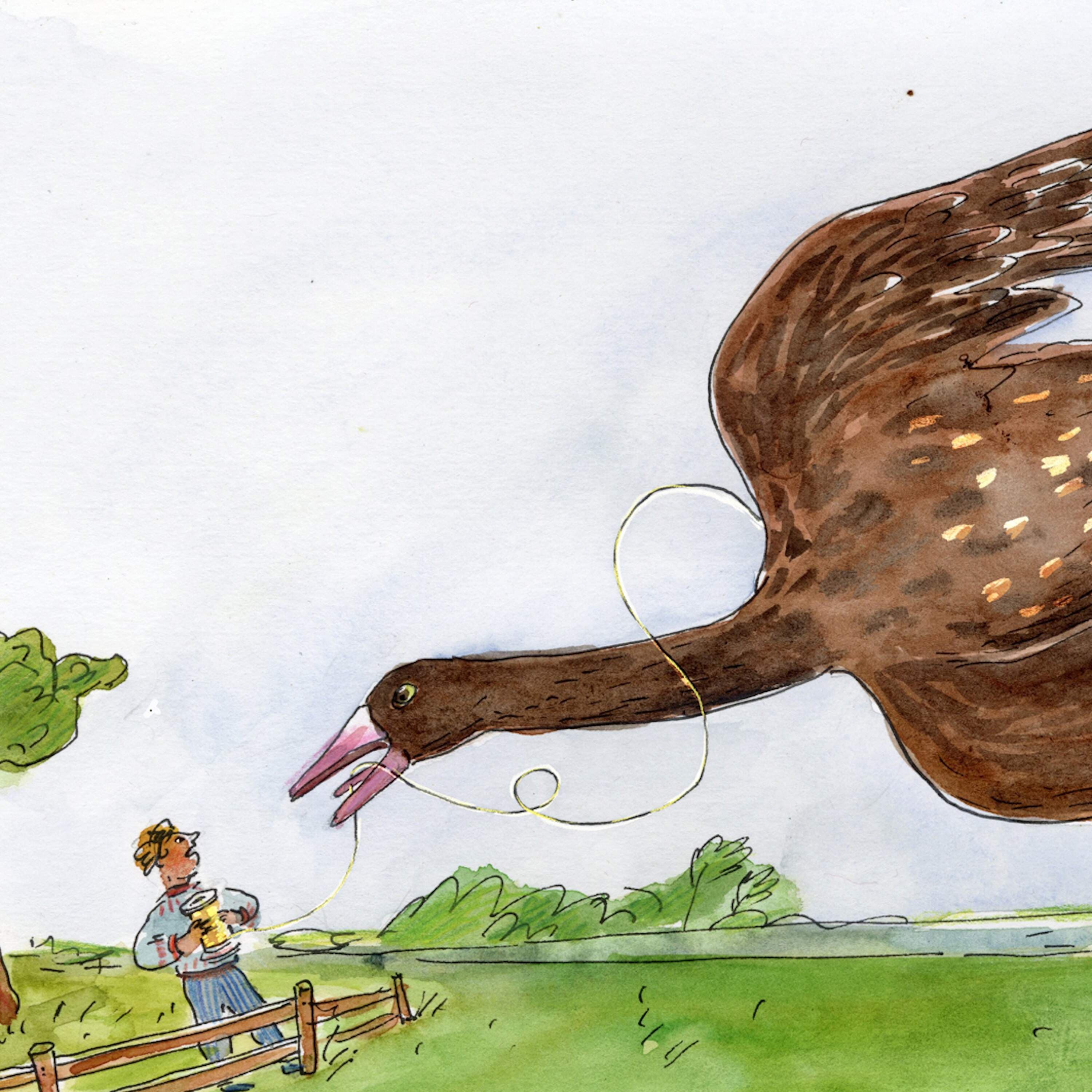 The Wild Goose Chase - Circle Round cover