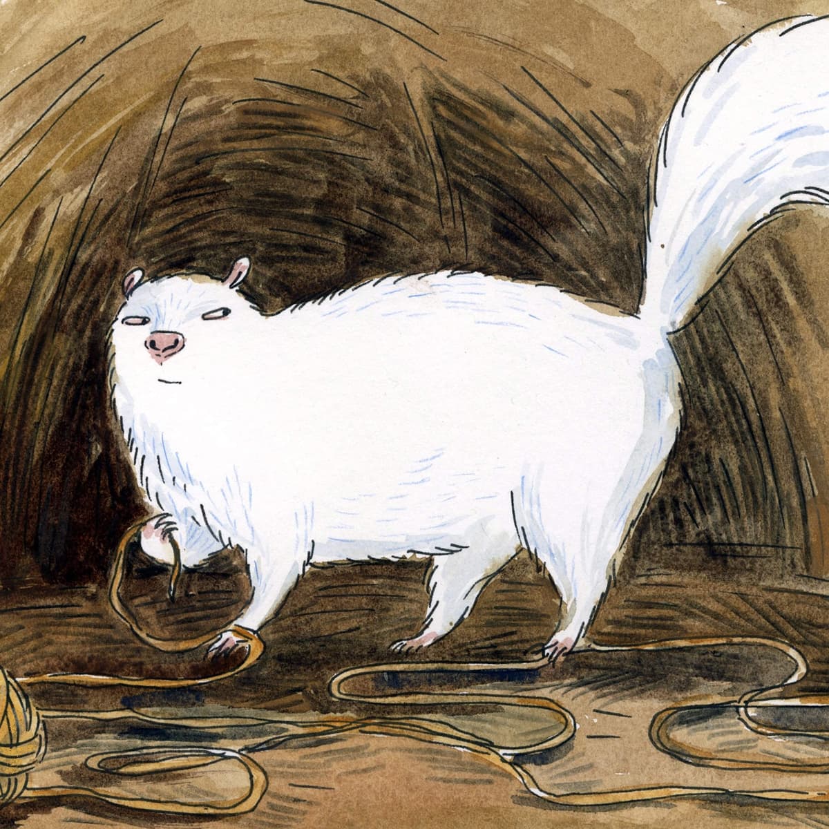 Encore: Getting Skunked - Circle Round cover