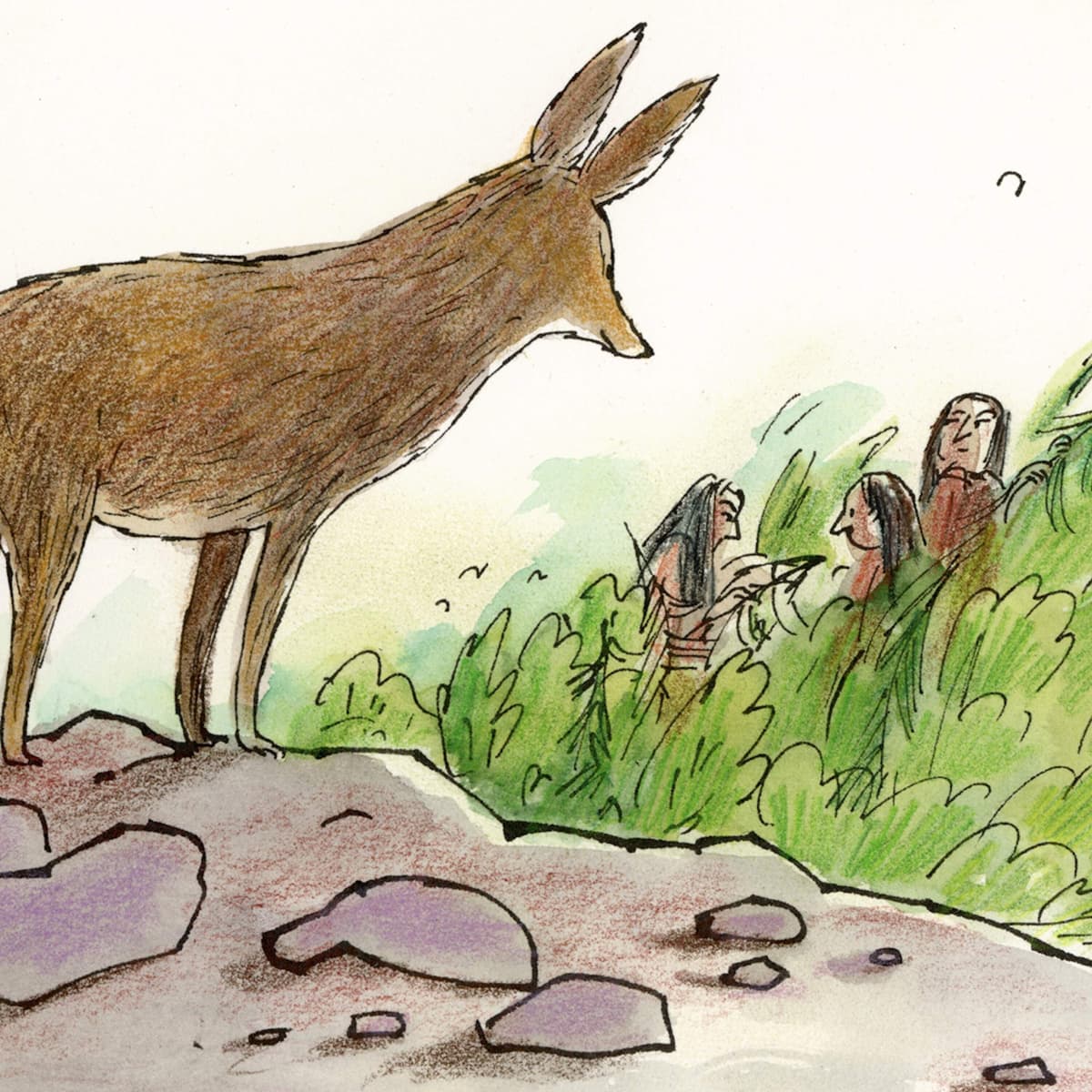 The Salmon Famine - Circle Round cover