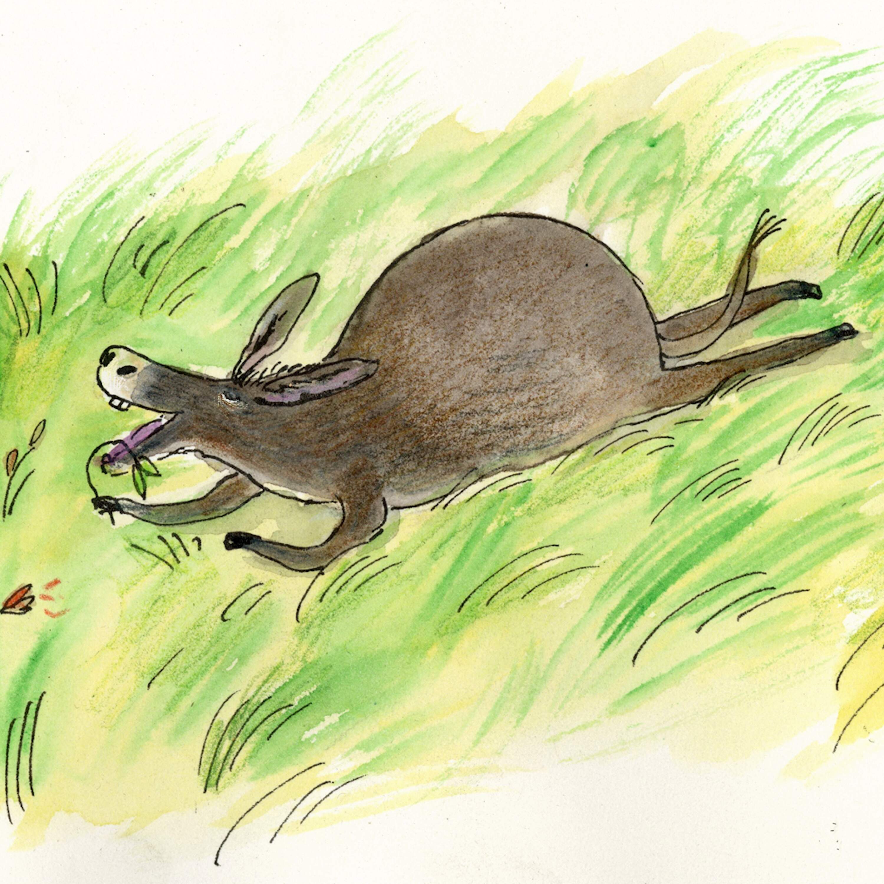 The Well of Honor - Circle Round cover