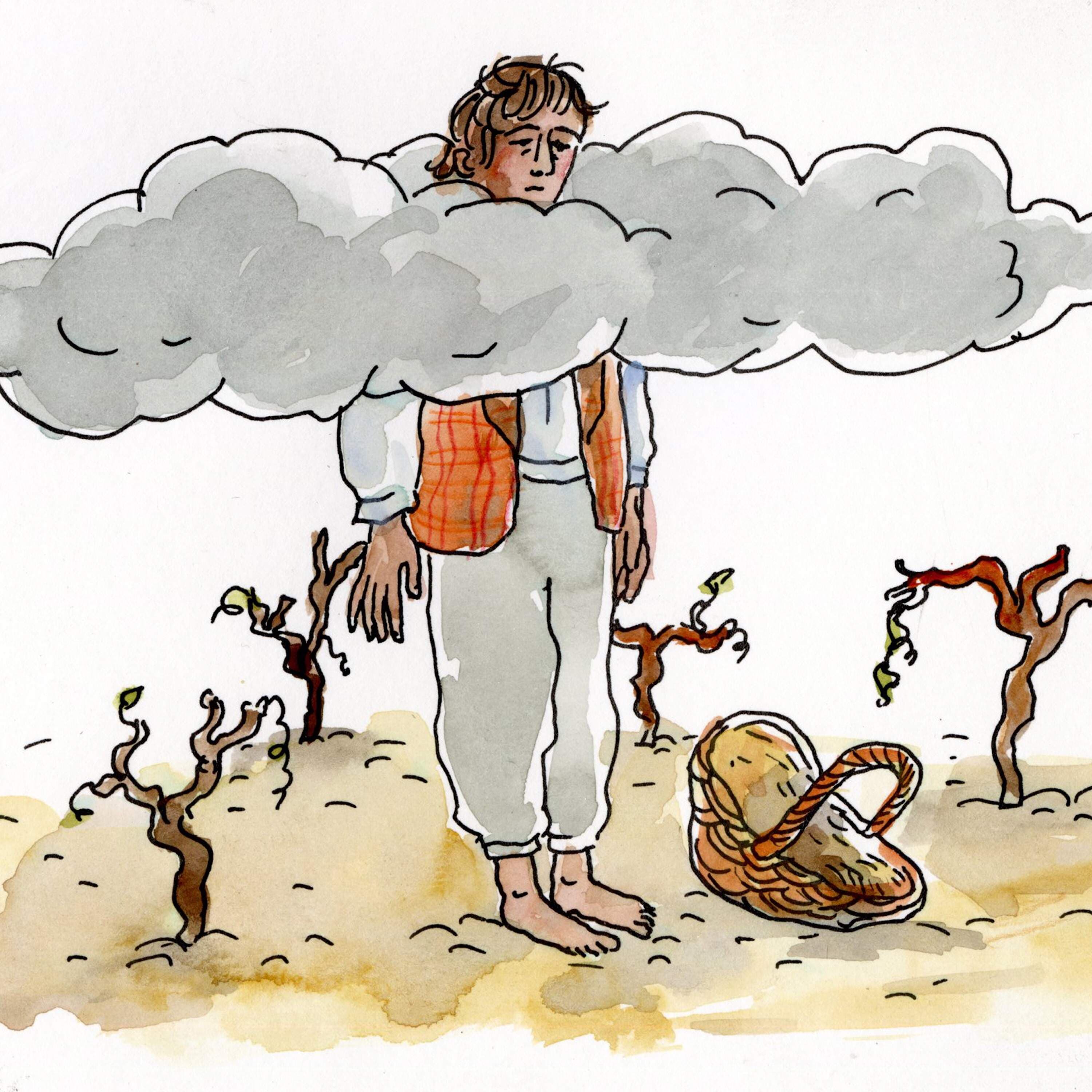 Crocus-Pocus - Circle Round cover