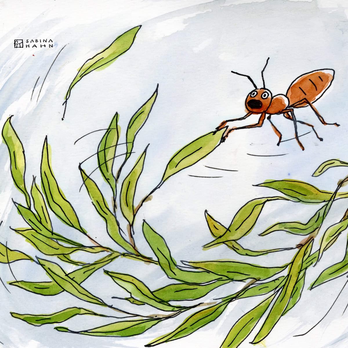 In the Willow Tree - Circle Round cover