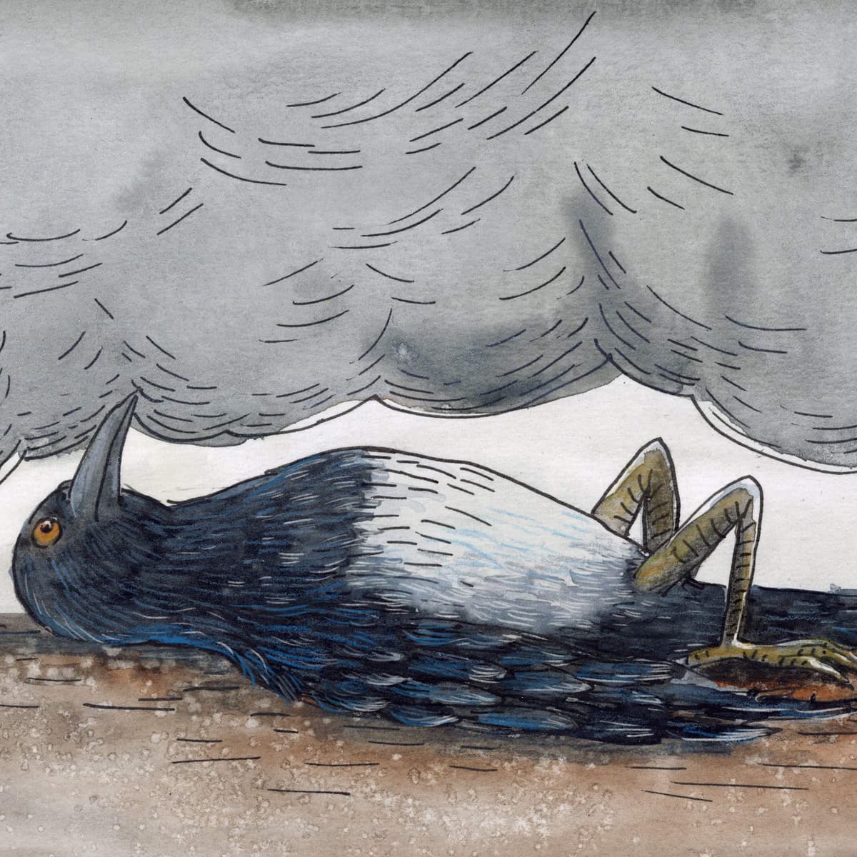 At First Light - Circle Round cover