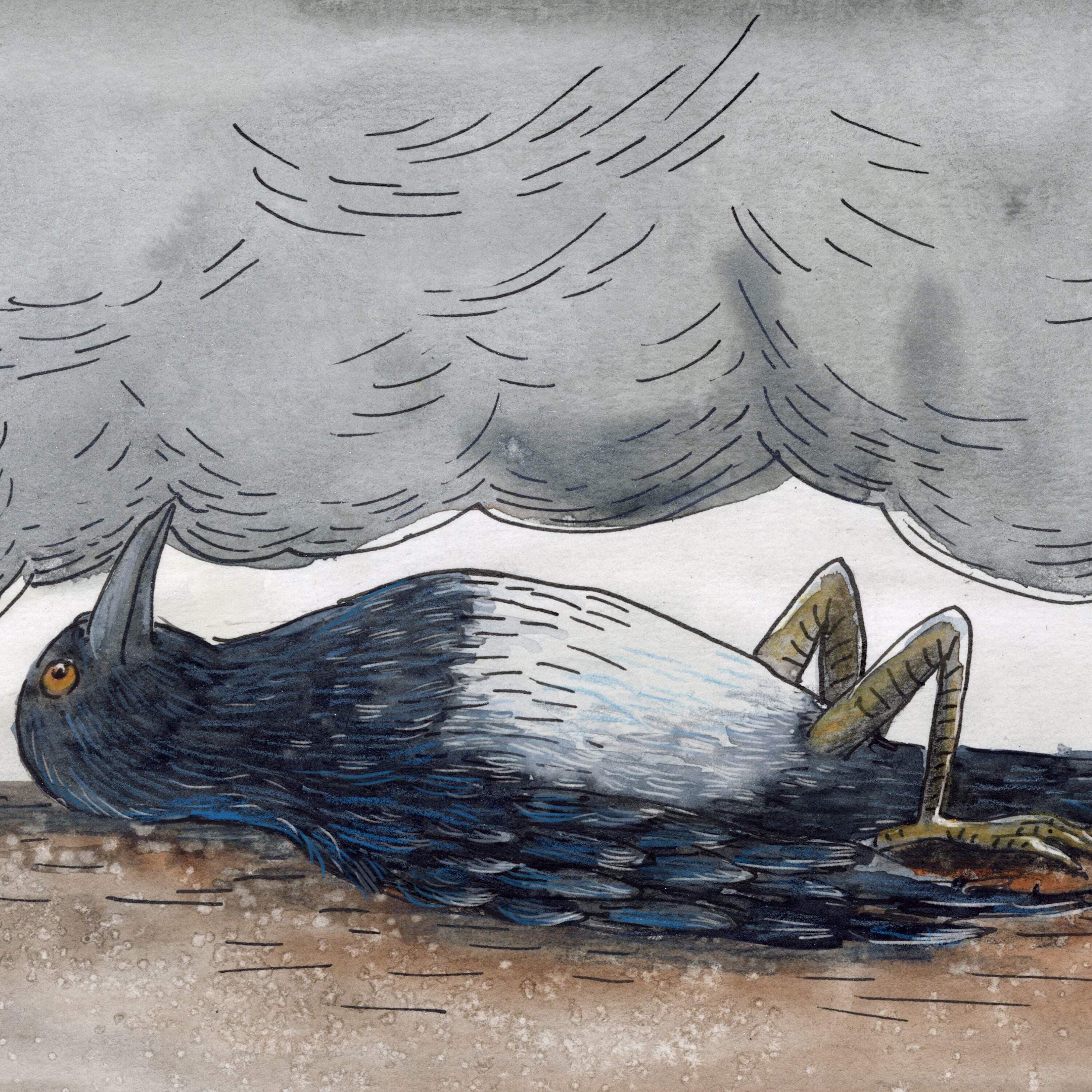 At First Light - Circle Round cover