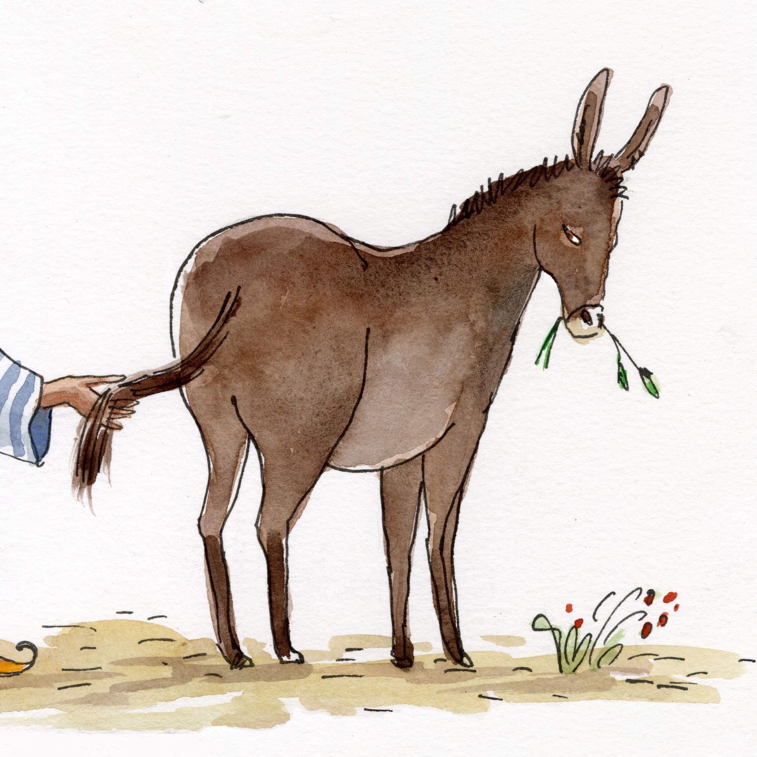 The Donkey’s Tail - Circle Round cover