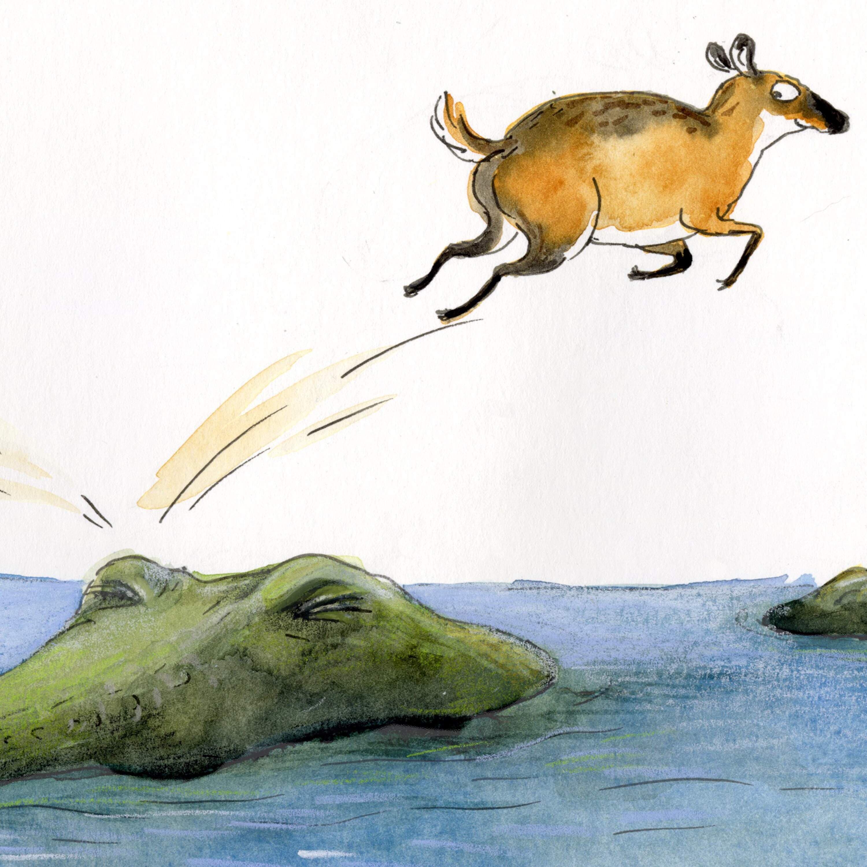 Encore: Counting Crocodiles - Circle Round cover