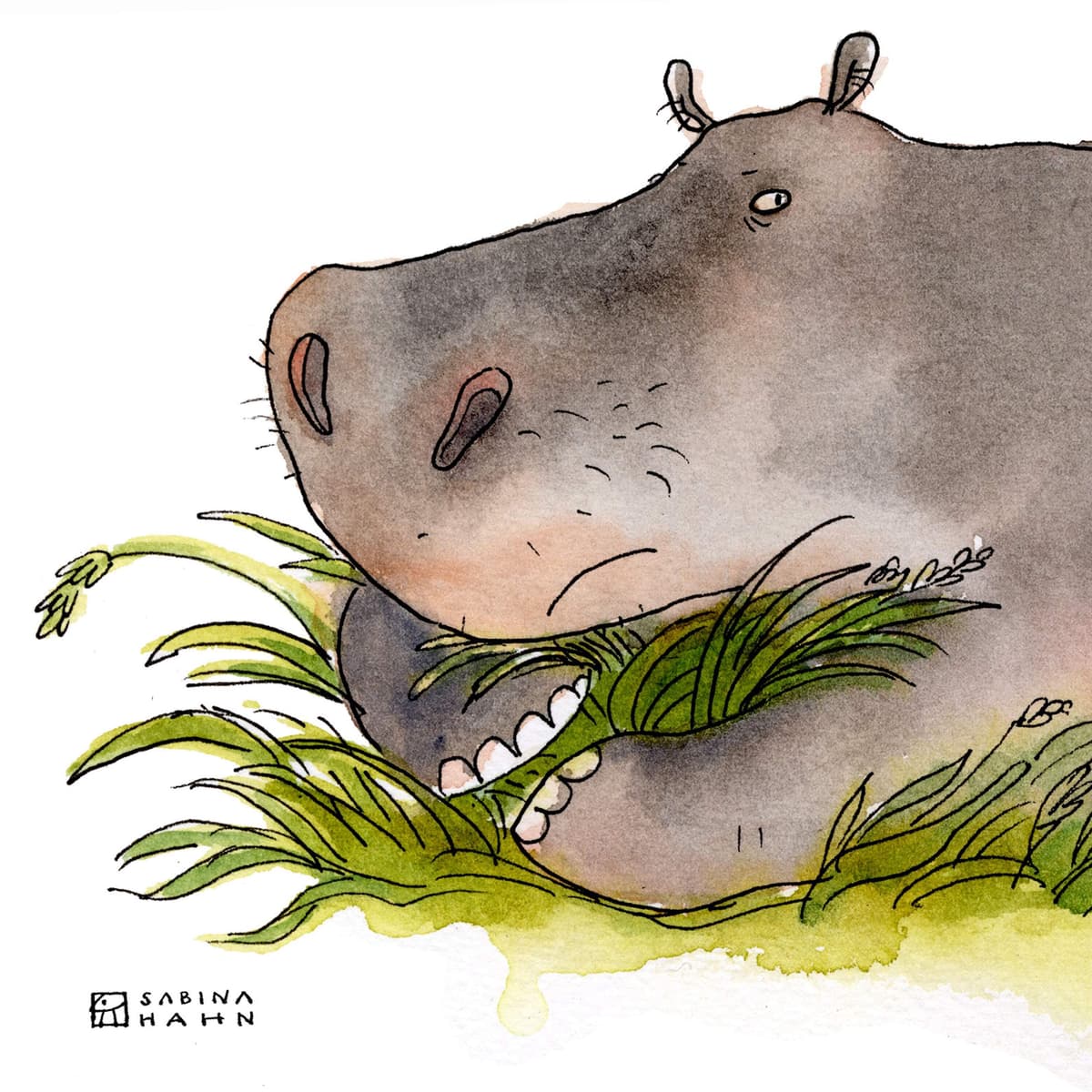 Encore: Hungry Hippo - Circle Round cover