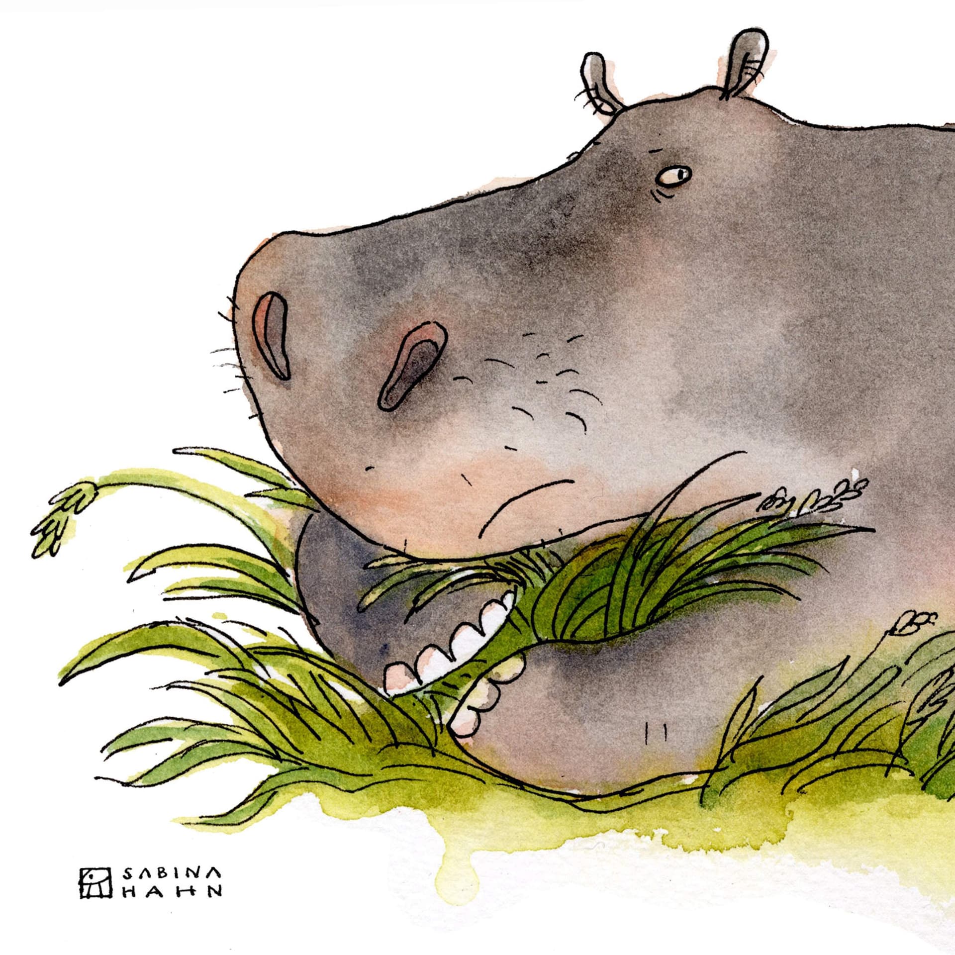Encore: Hungry Hippo - Circle Round cover