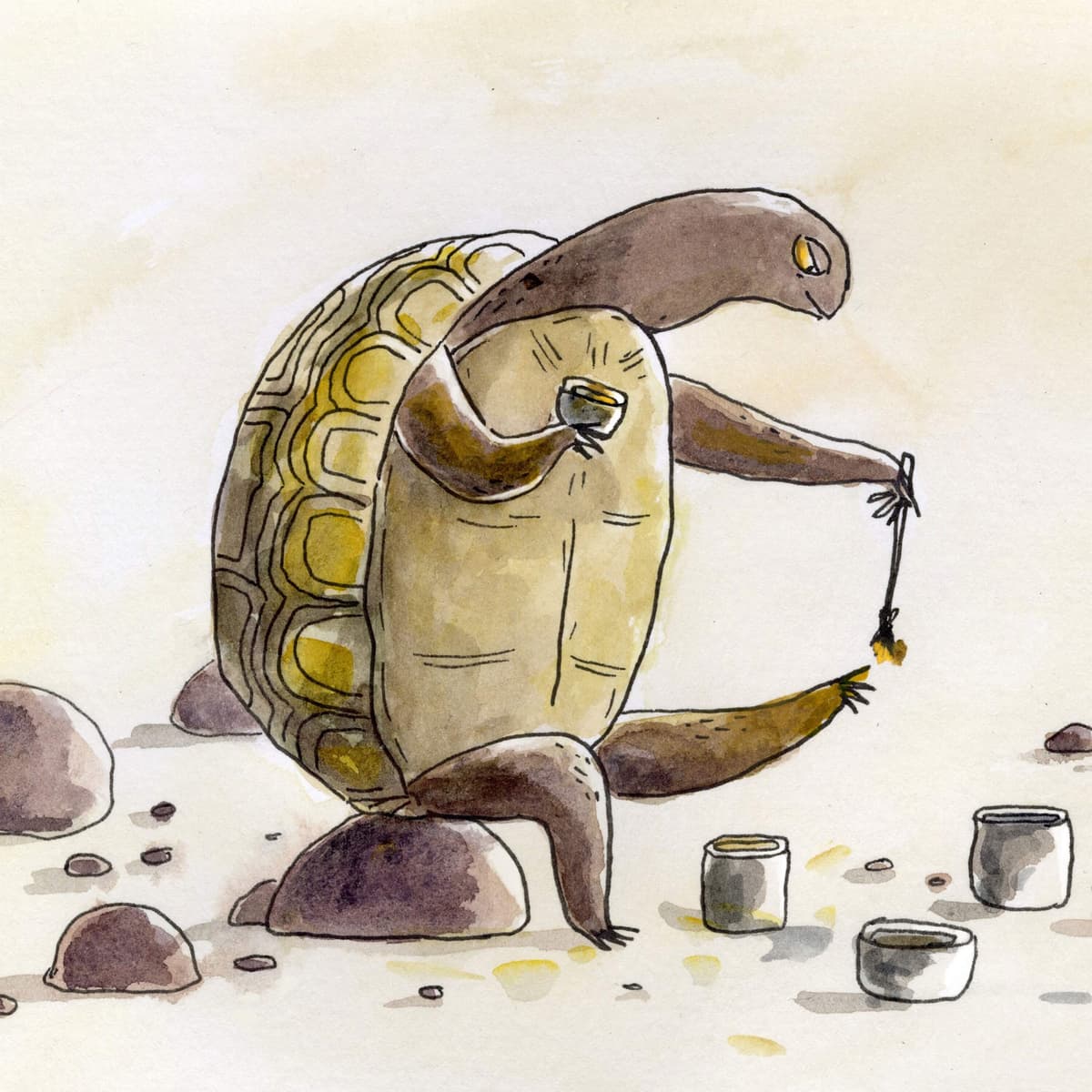 True Colors - Circle Round cover