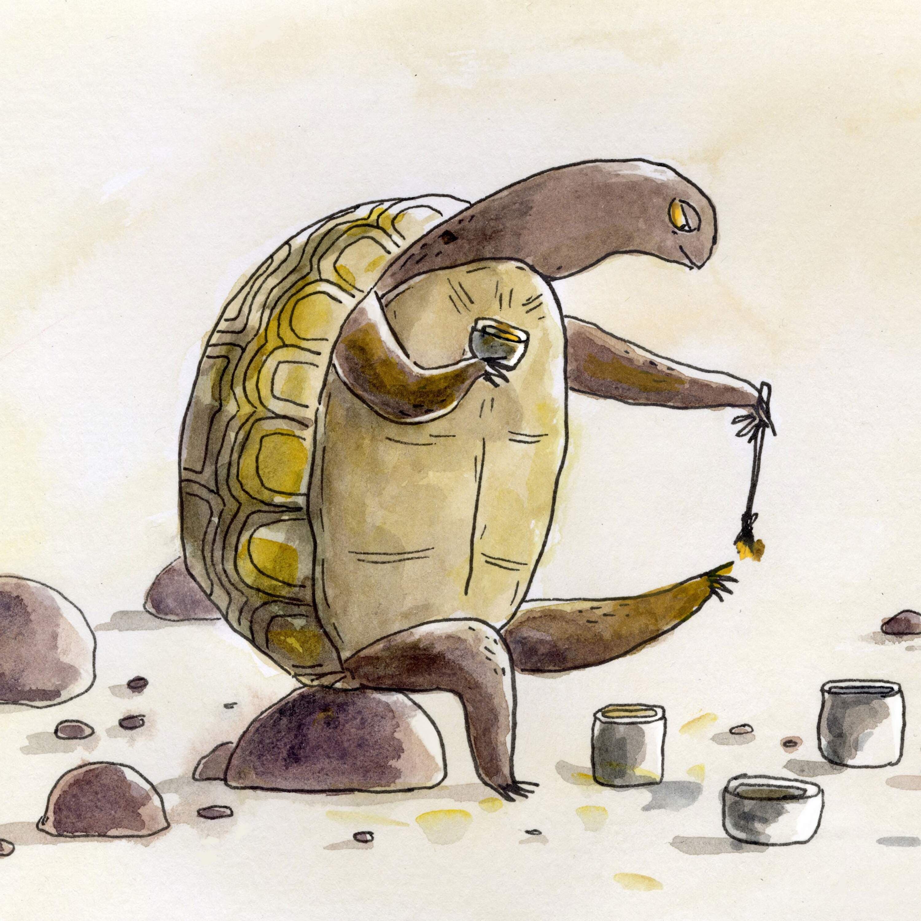 True Colors - Circle Round cover