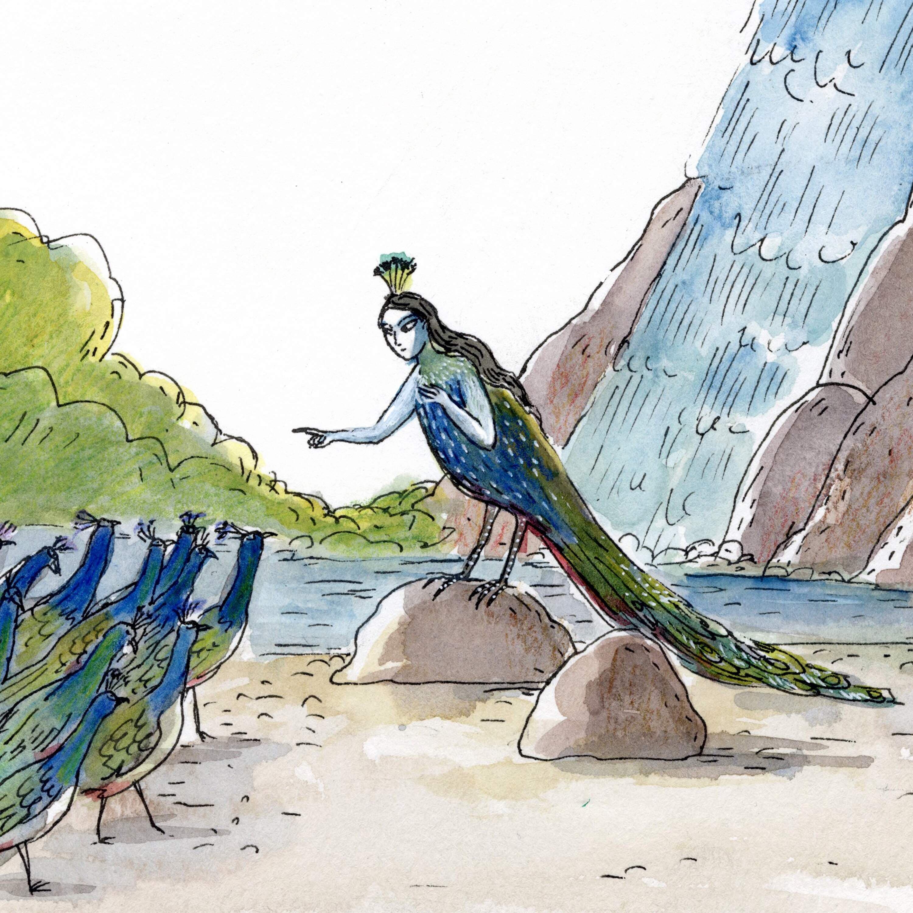 Little Peacock’s Plumage | Ep. 304 - Circle Round cover