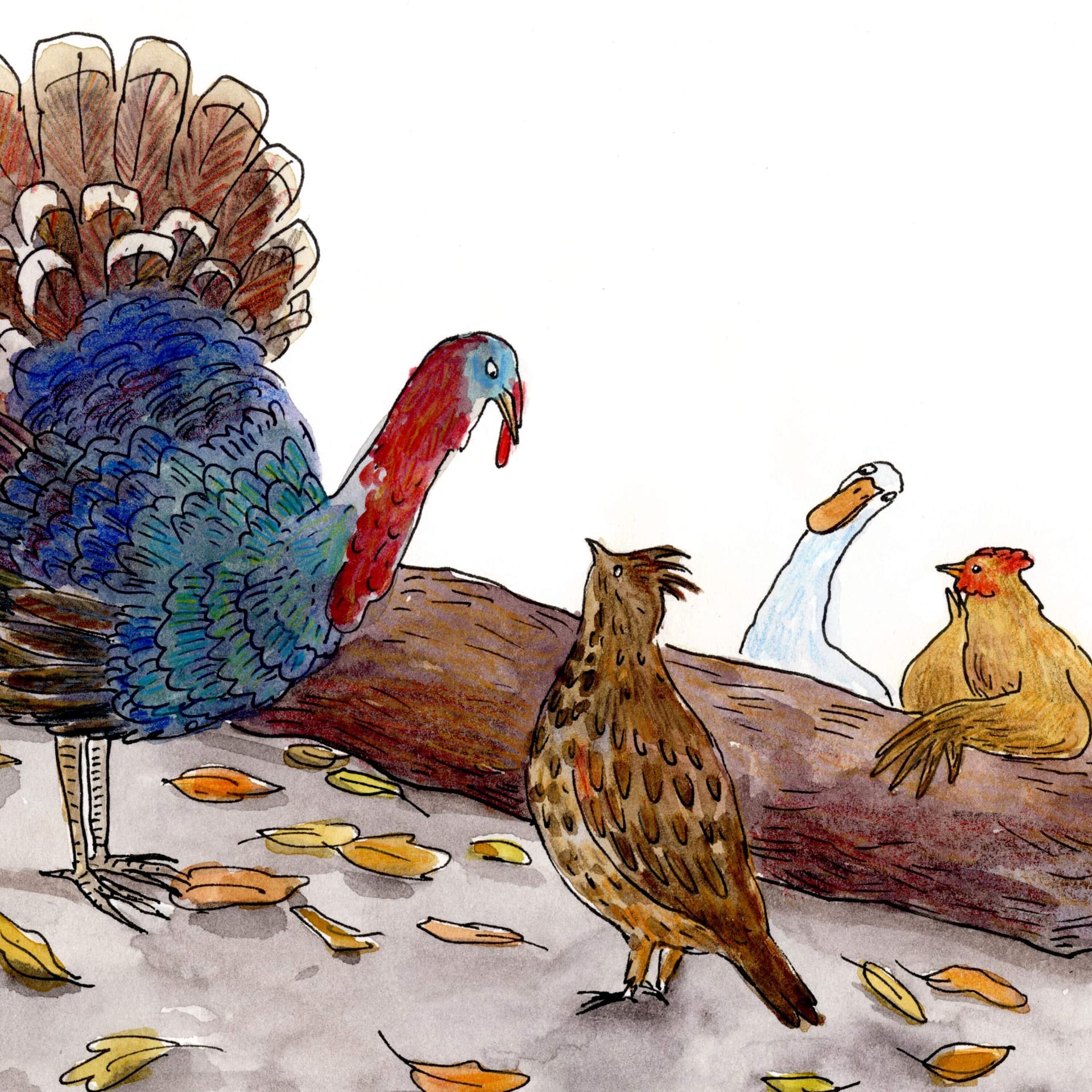 How the Turkey Got Its Gobble | Ep. 305 (A Podcast Turducken with Terrestrials and Wow in the World) — Circle Round cover