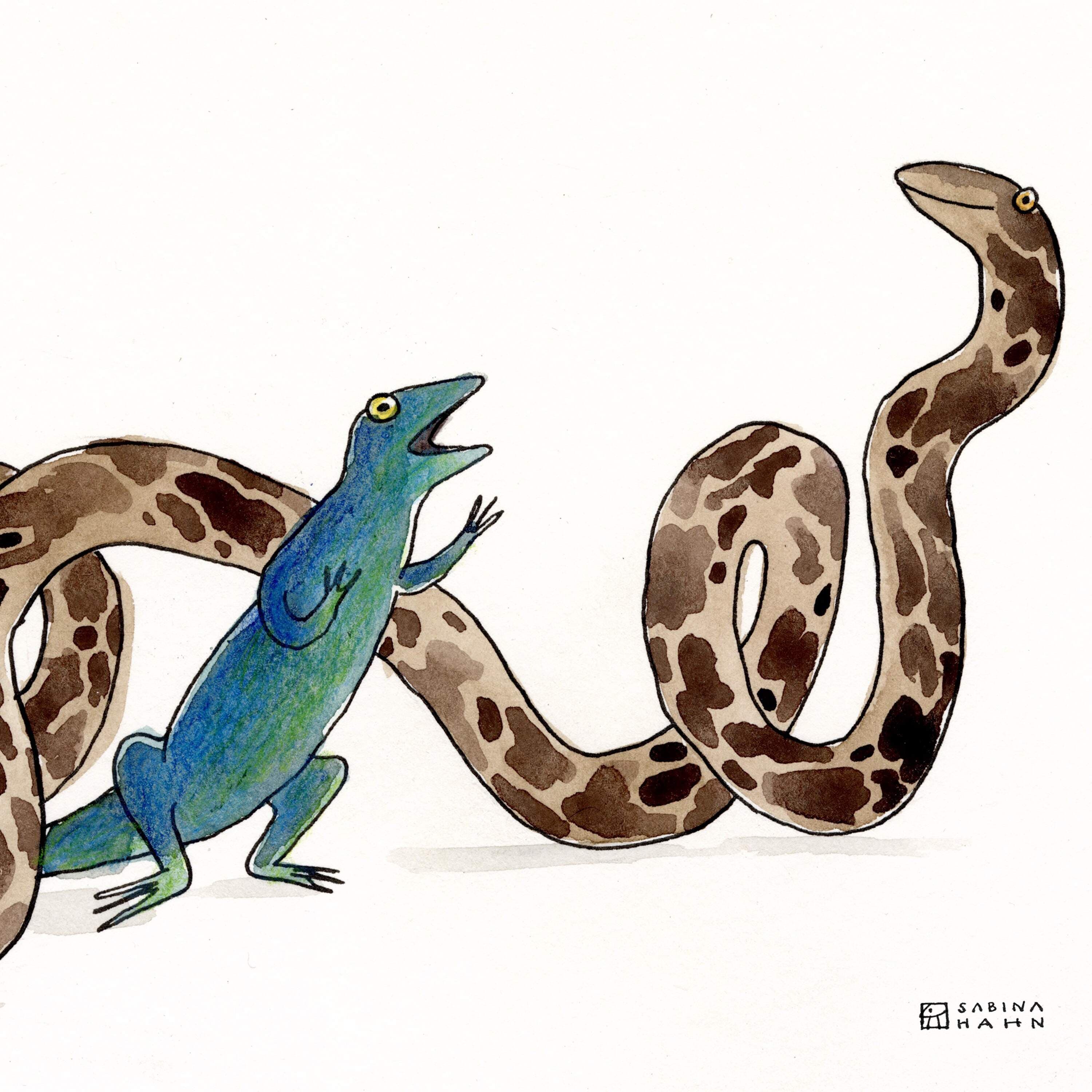 Python’s Drum | Ep. 309 - Circle Round cover