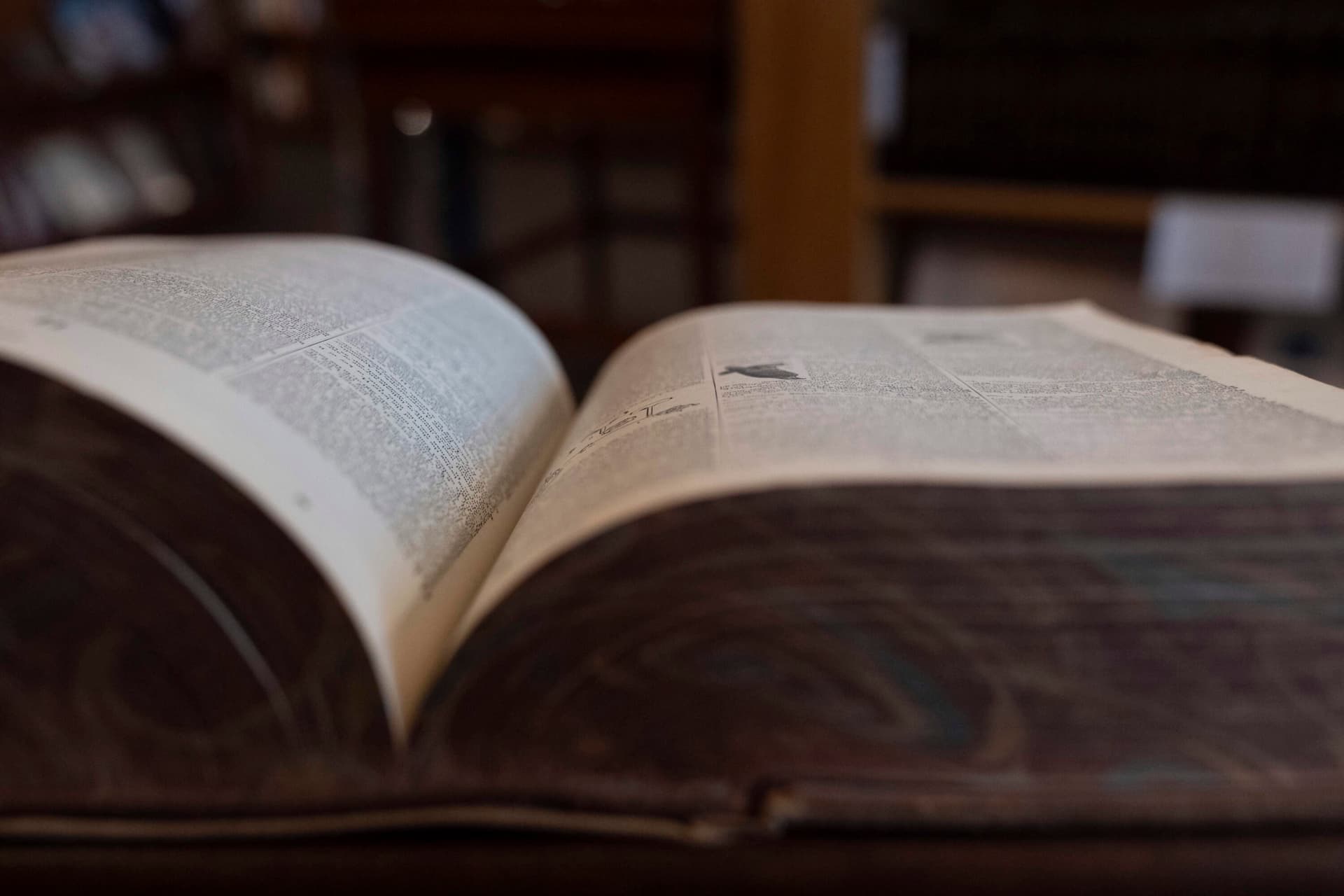 Old words like 'yapping' and 'skedaddle' are having a renaissance, thanks to younger generations — Here & Now cover
