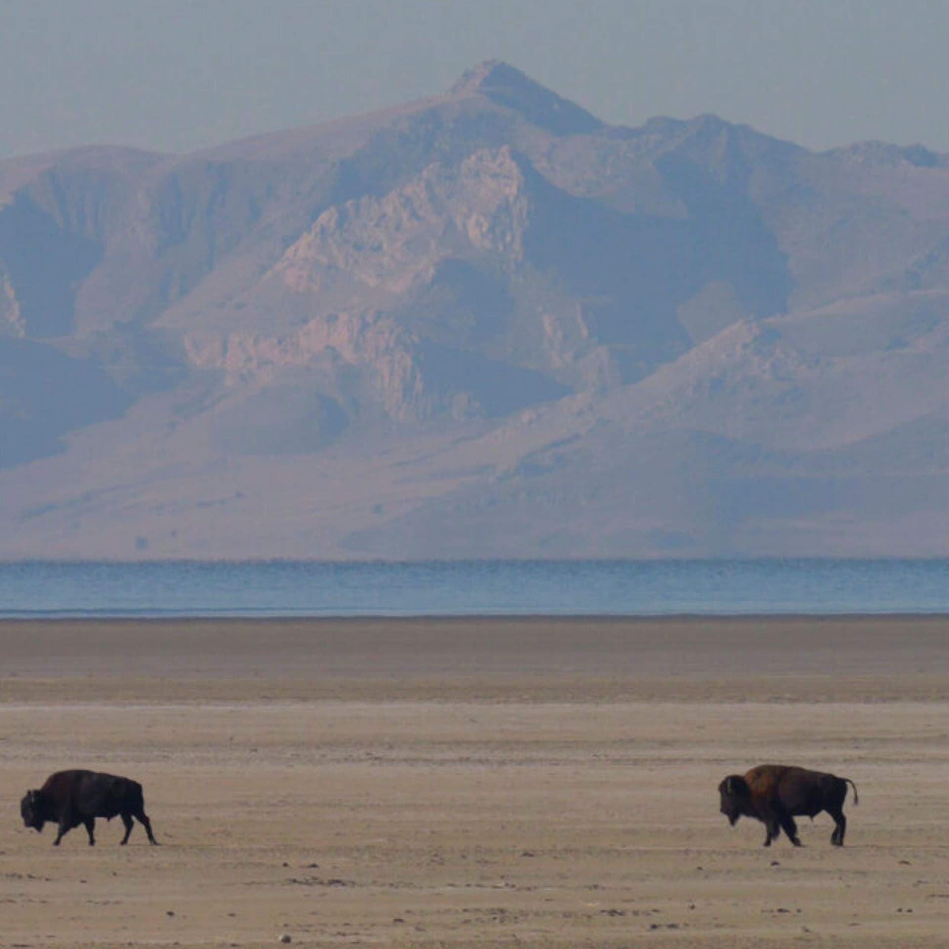 How to find glory in the ordinary - On Point with Meghna Chakrabarti cover