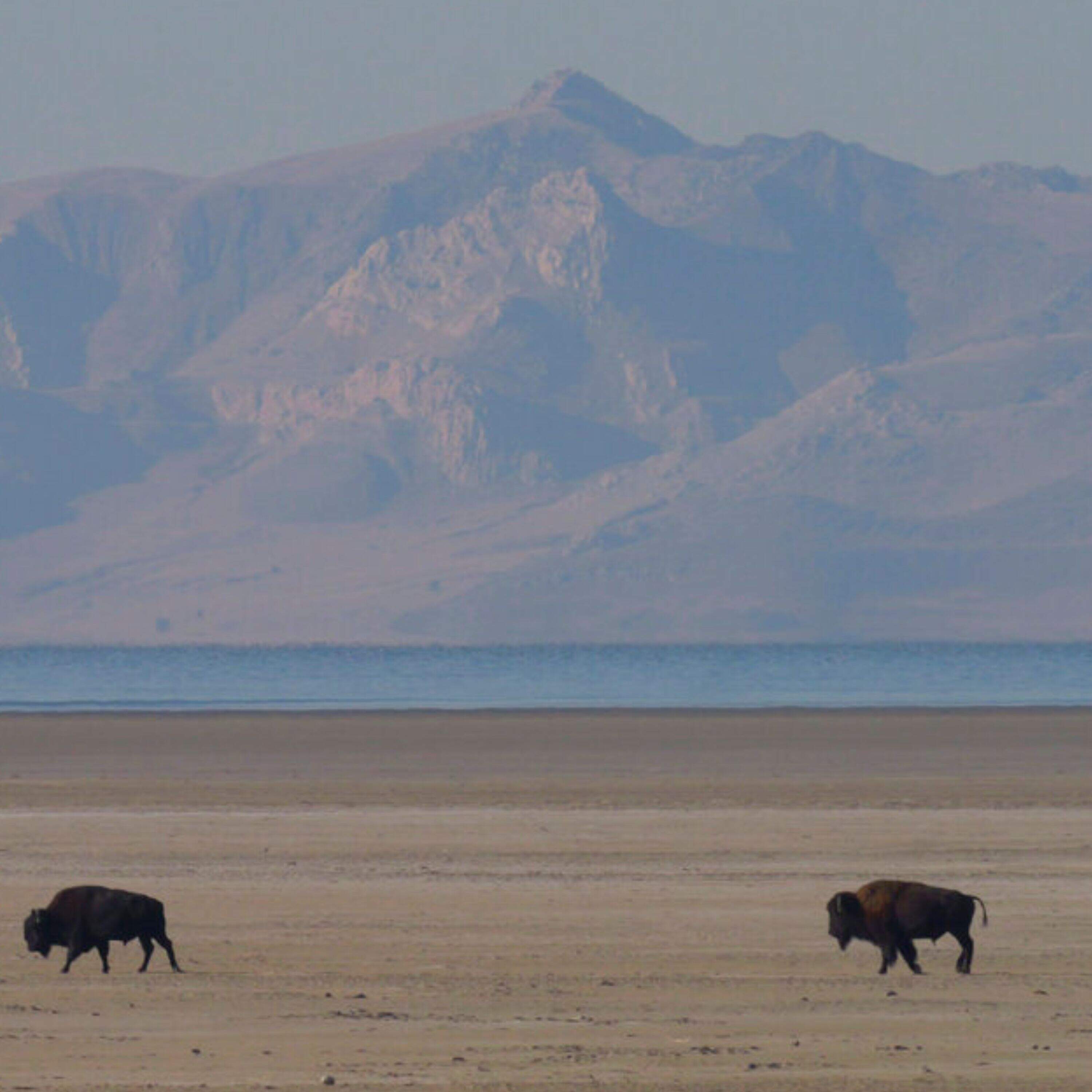 How to find glory in the ordinary - On Point with Meghna Chakrabarti cover