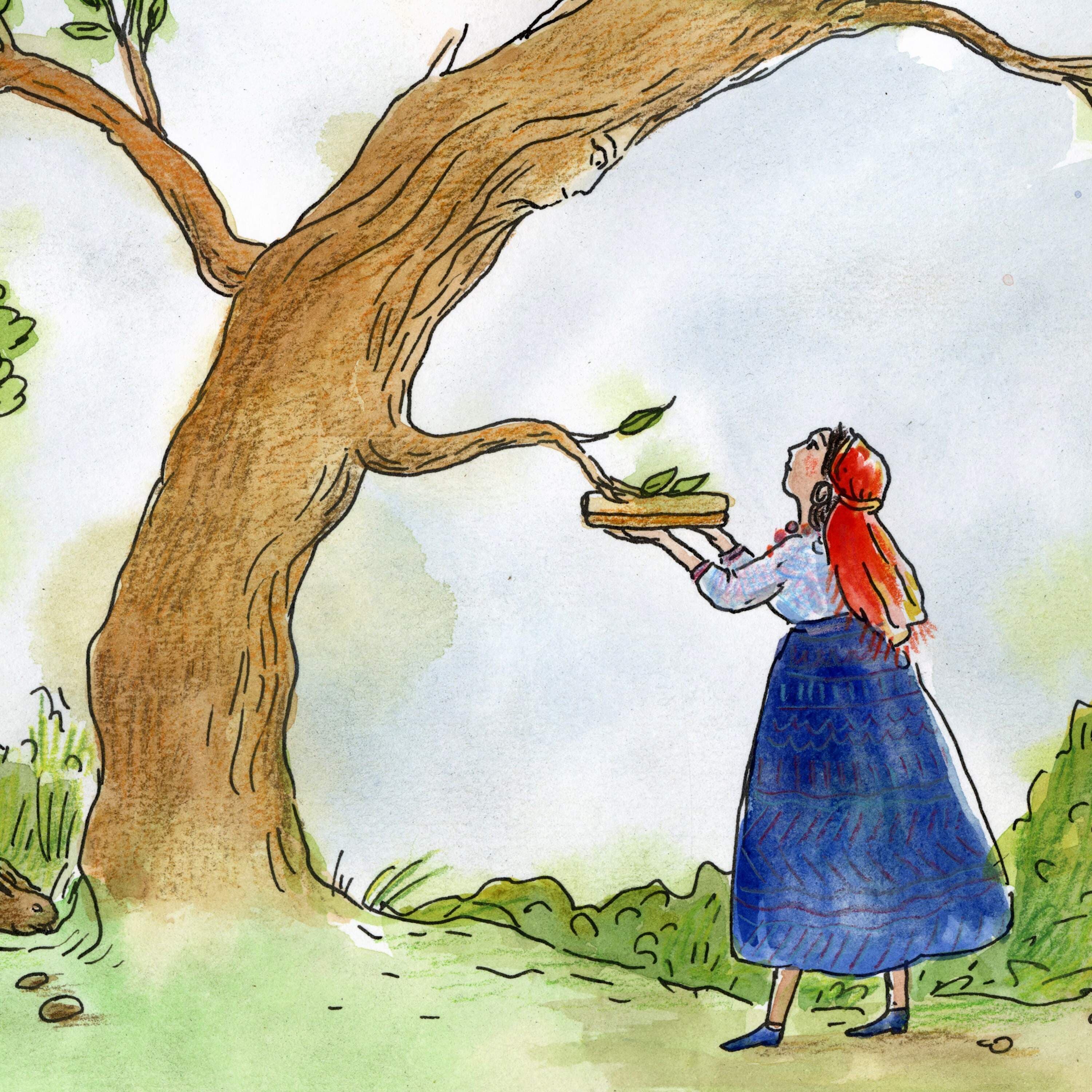 The Beech-Wood Box - Circle Round cover