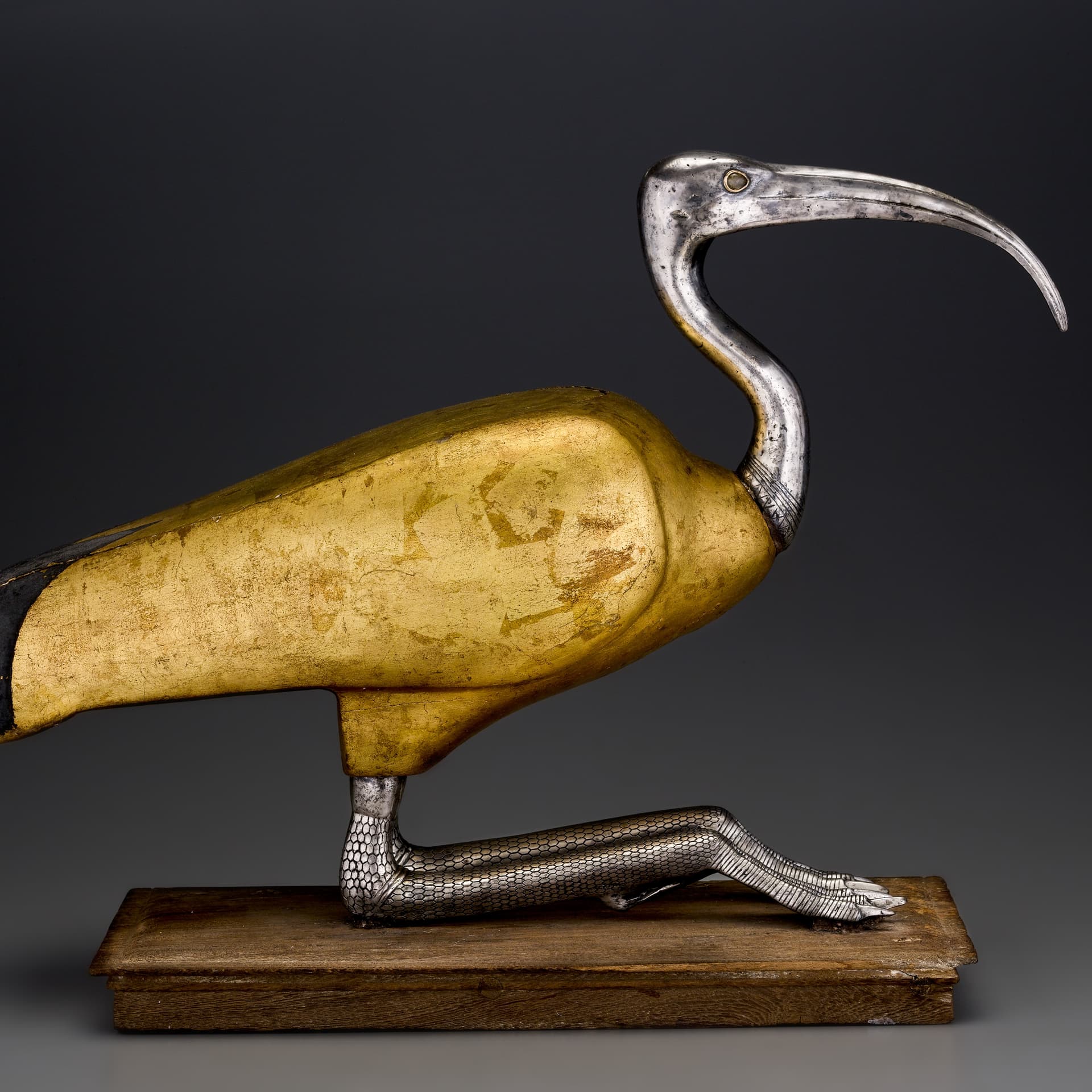 'Soulful Creatures: Animal Mummies in Ancient Egypt' at the Walters Art Museum - On The Record cover