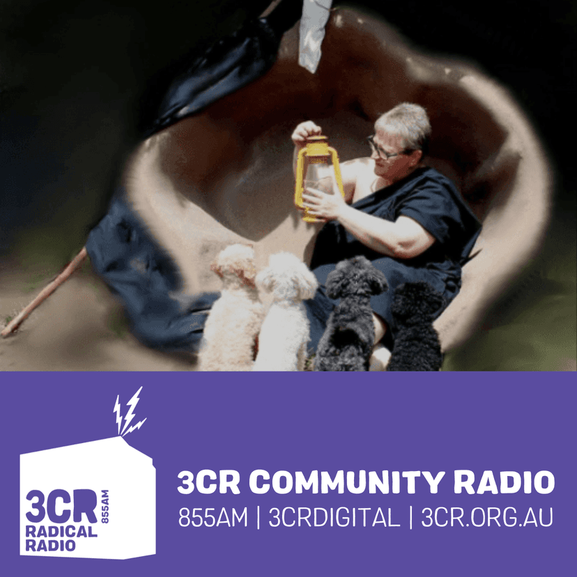 Radical Philosophy cover