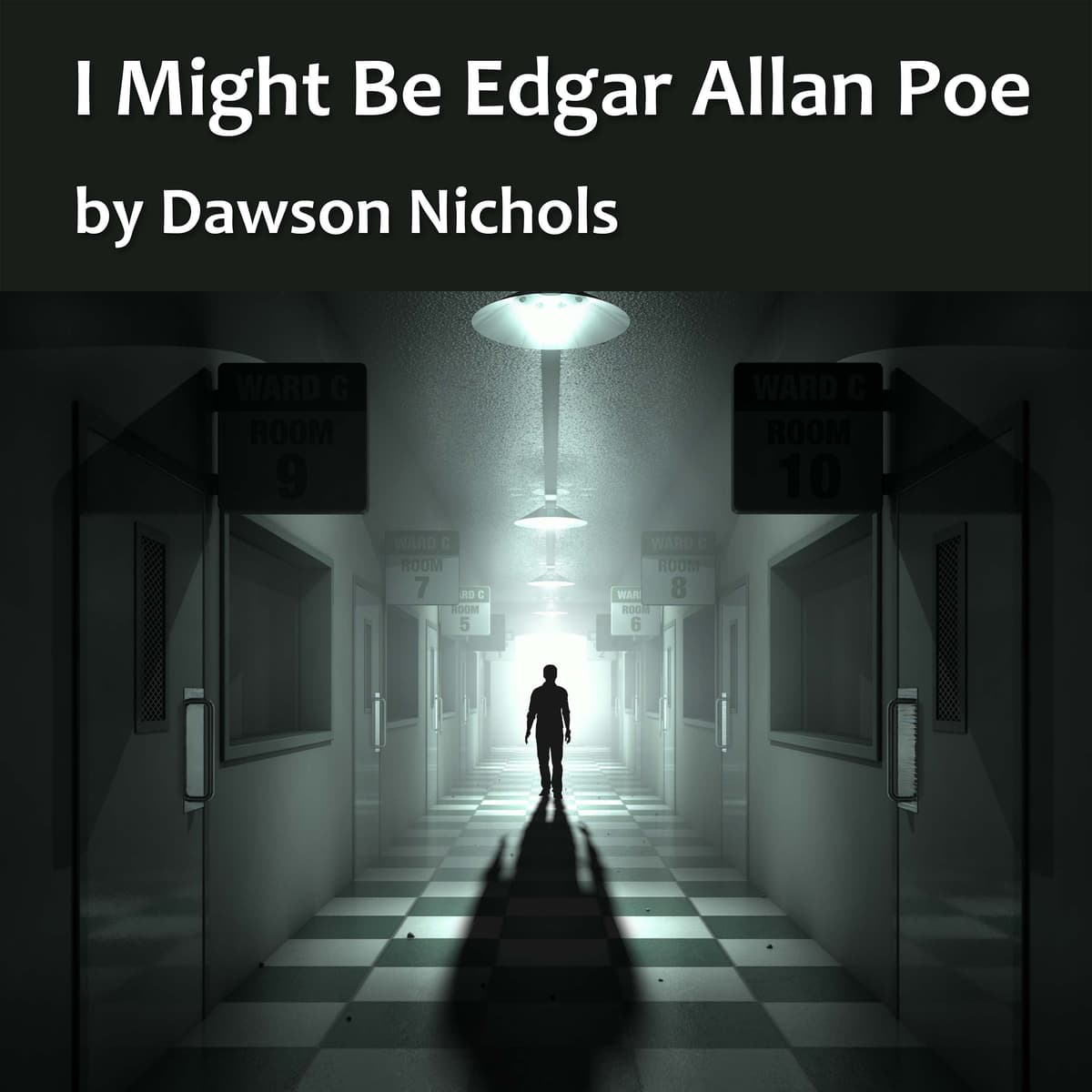 I Might Be Edgar Allan Poe - The Fourth Ambit cover