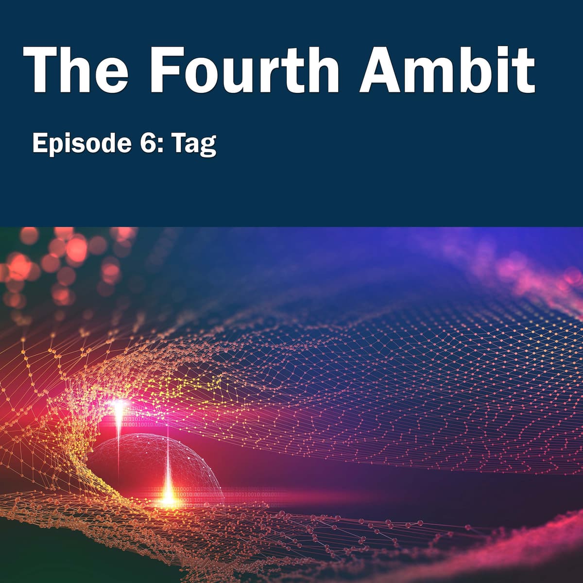 Tag - The Fourth Ambit cover