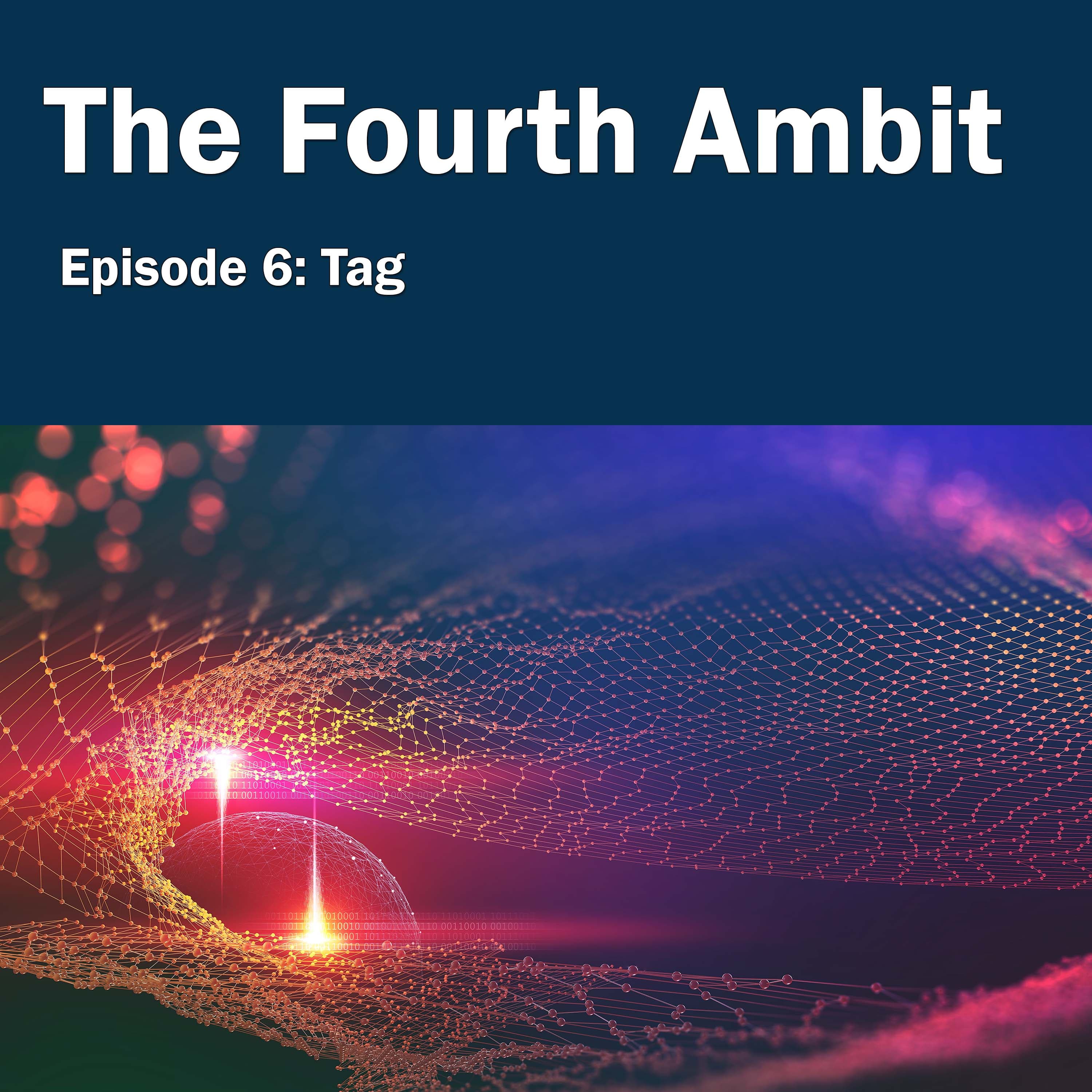 Tag - The Fourth Ambit cover