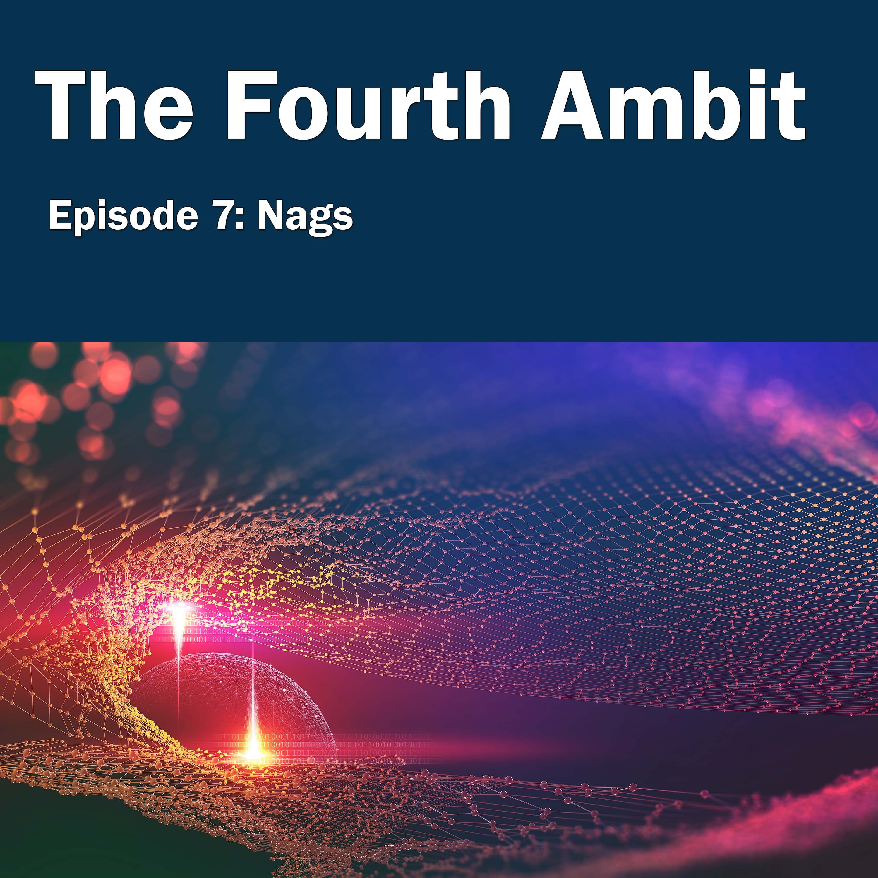 Nags - The Fourth Ambit cover