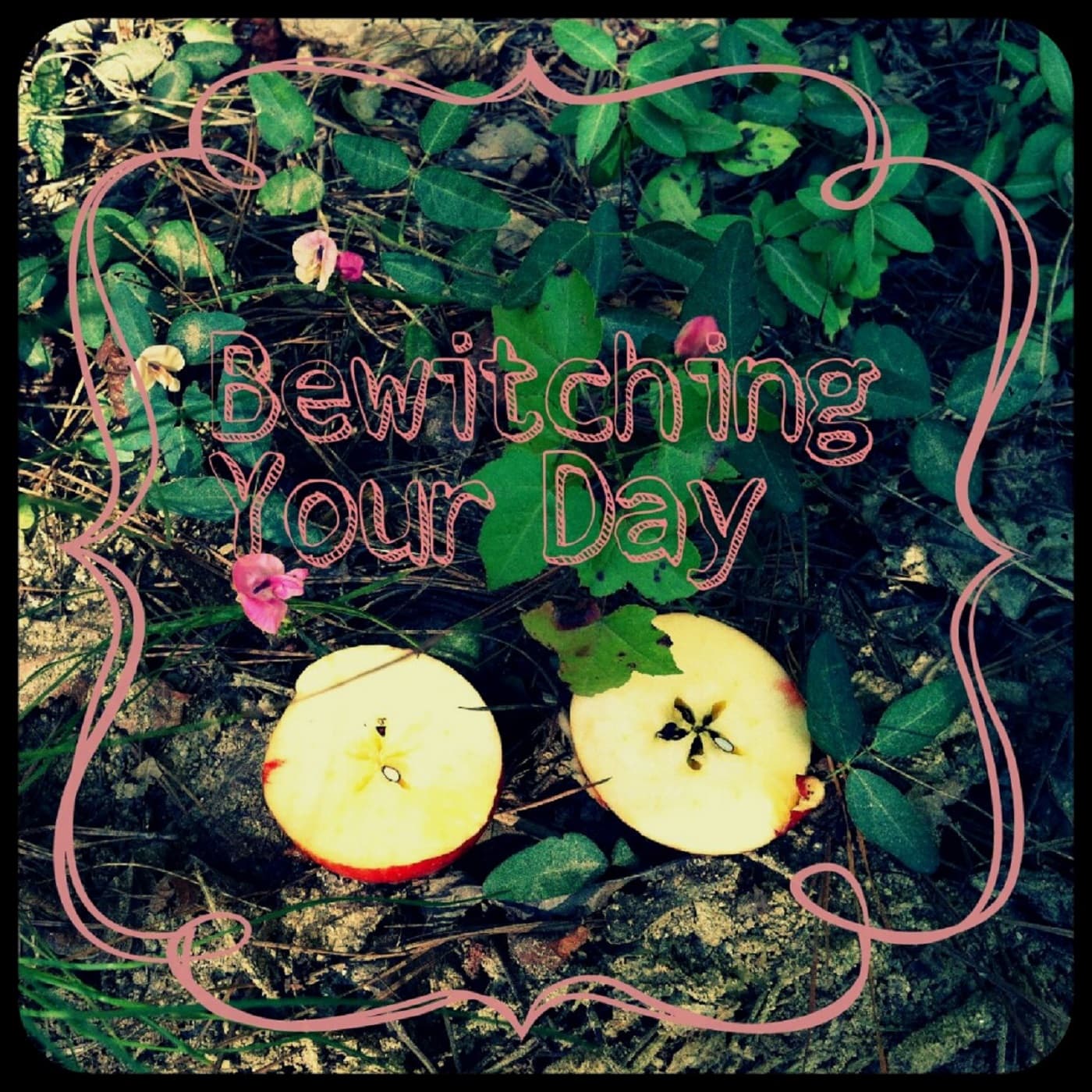 Bewitching Your Day cover