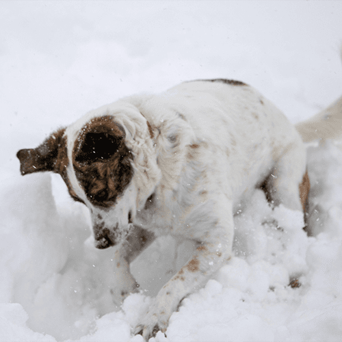 Digging Into Security With Kat Cosgrove - Arrested DevOps cover