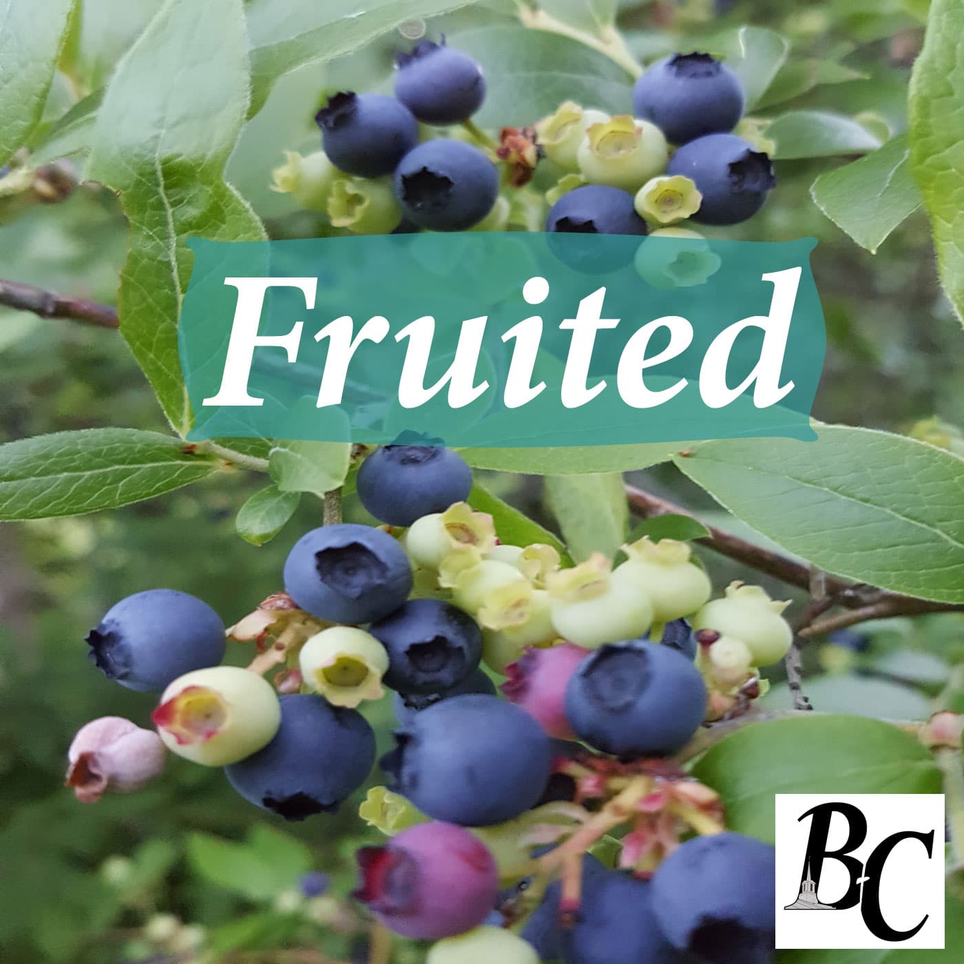 People Bug Me -Fruited Part 3 - Bean's Corner Baptist Church cover