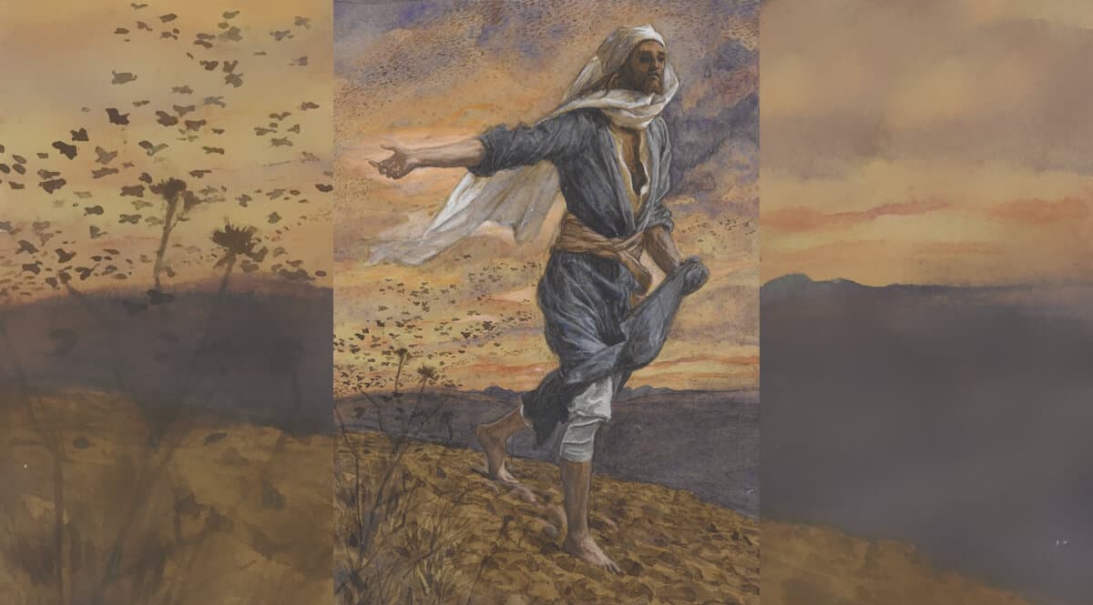 The Gospel of Matthew #23 - Born to Win Podcast - with Ronald L. Dart cover