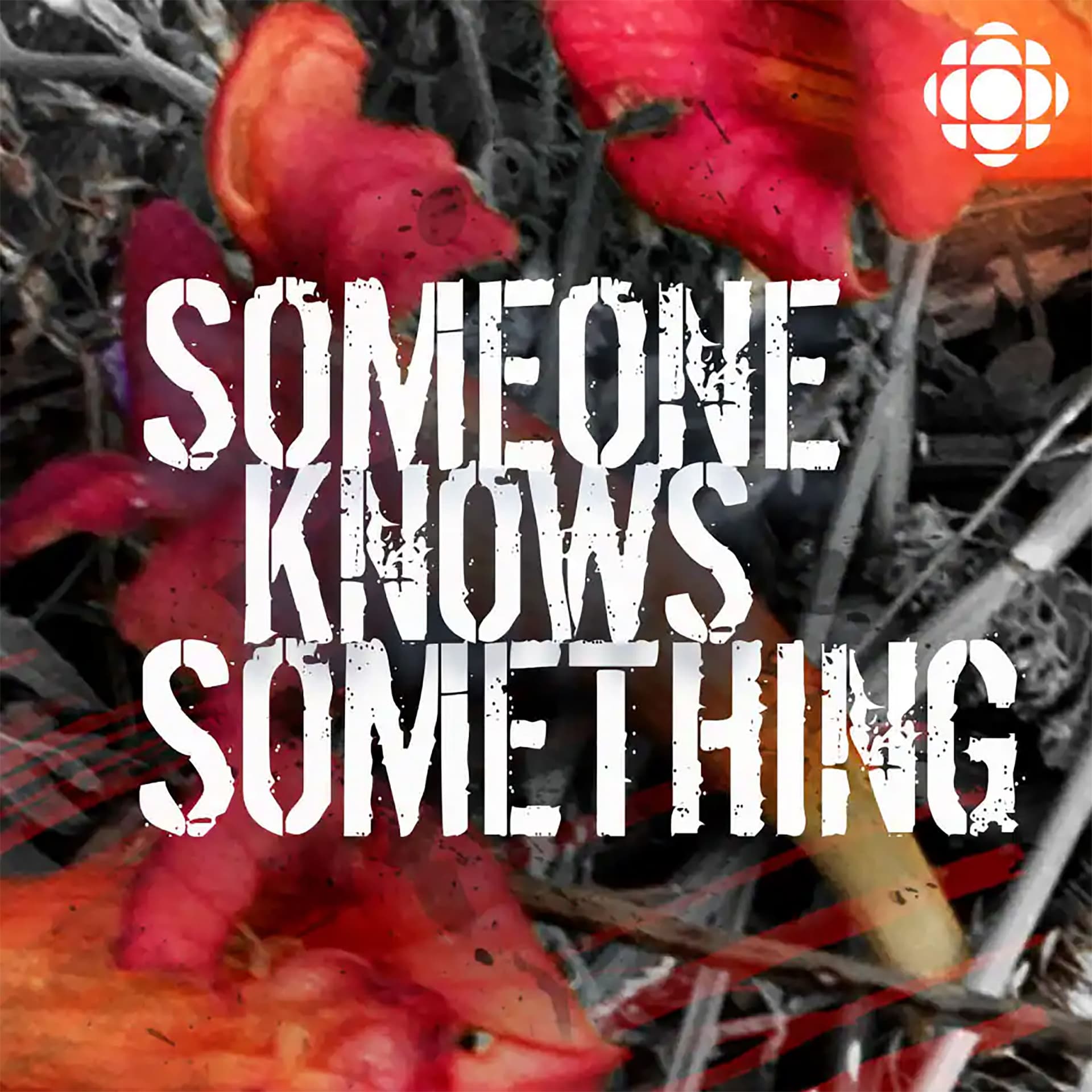 S3 Bonus: Return to Mississippi - Someone Knows Something cover