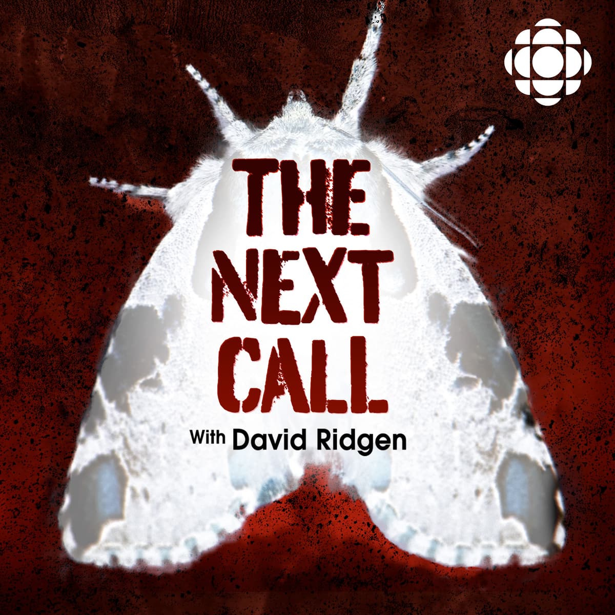 The Next Call with David Ridgen: Episode 3 in the case of Terrie Dauphinais - Someone Knows Something cover