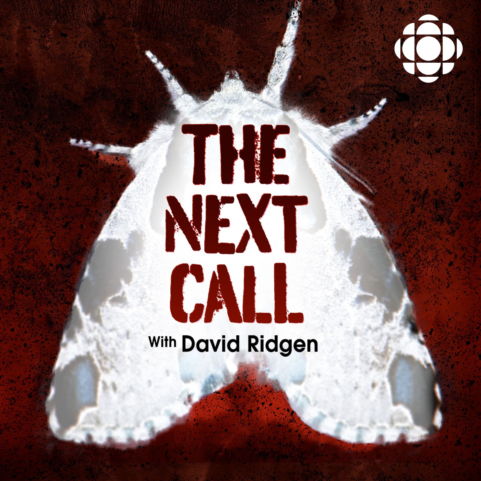 The Next Call with David Ridgen: Episode 4 in the case of Melanie Ethier - Someone Knows Something cover