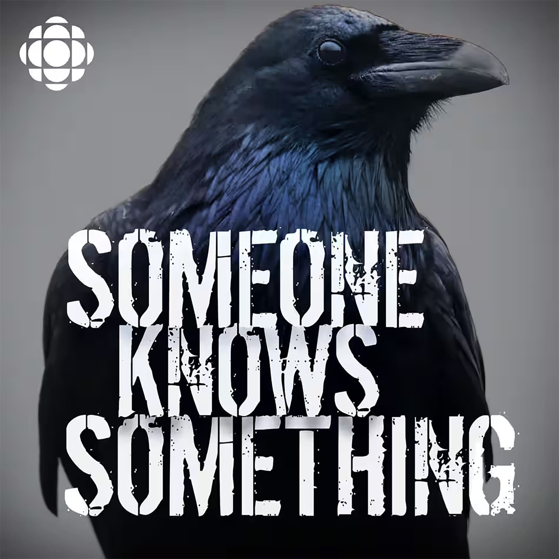 SKS S5 Extra: Spread the Word - Someone Knows Something cover