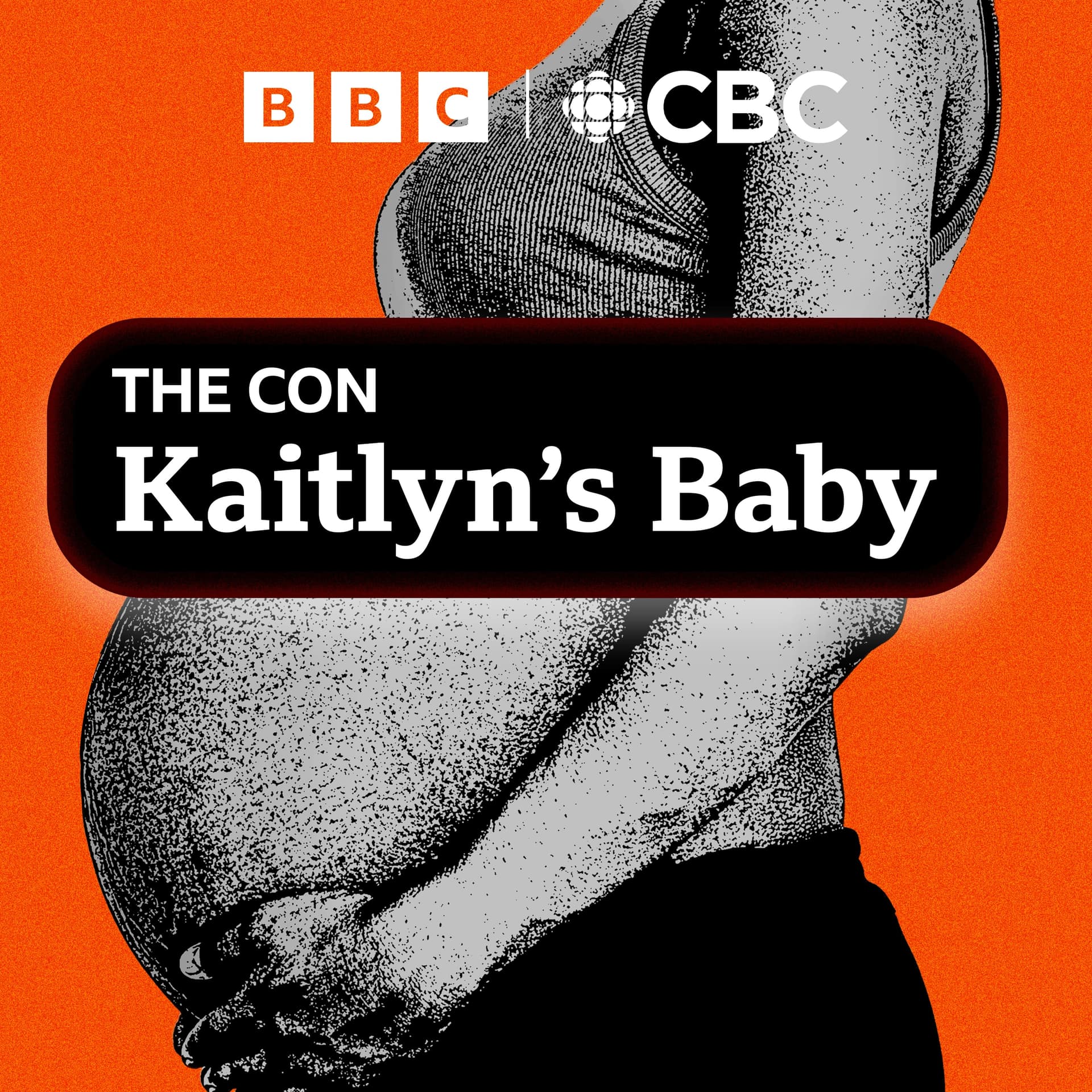 The Con: Kaitlyn's Baby cover