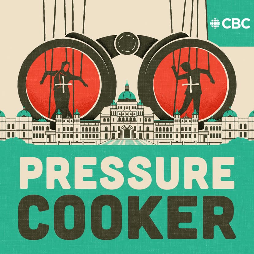 Pressure Cooker cover