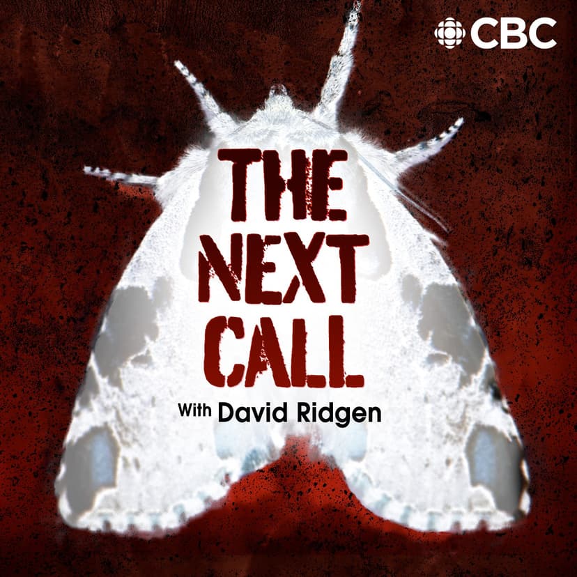 The Next Call with David Ridgen cover