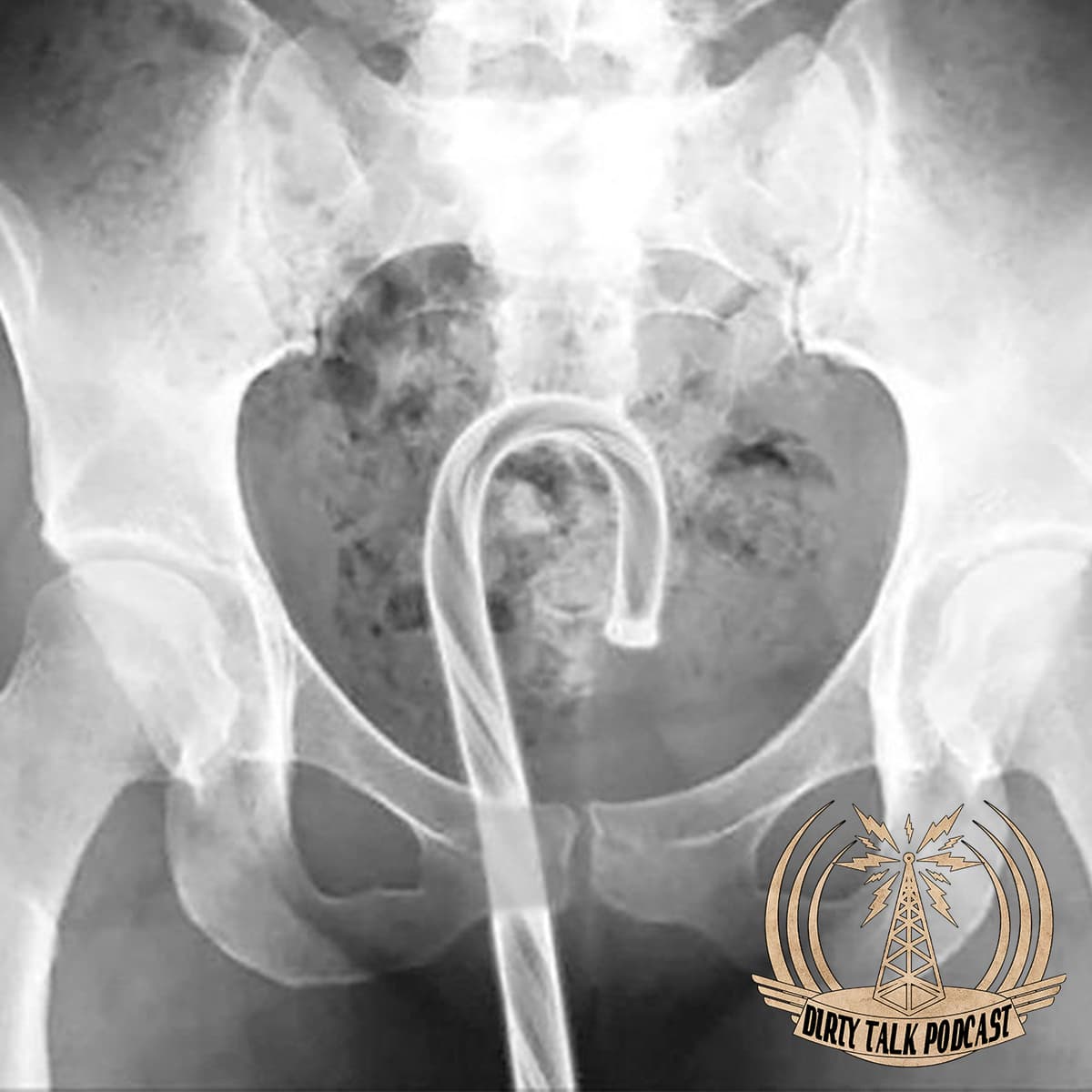 Mating Song Of The White Throated Swallow- Ep 210 - Dirty Talk Podcast cover