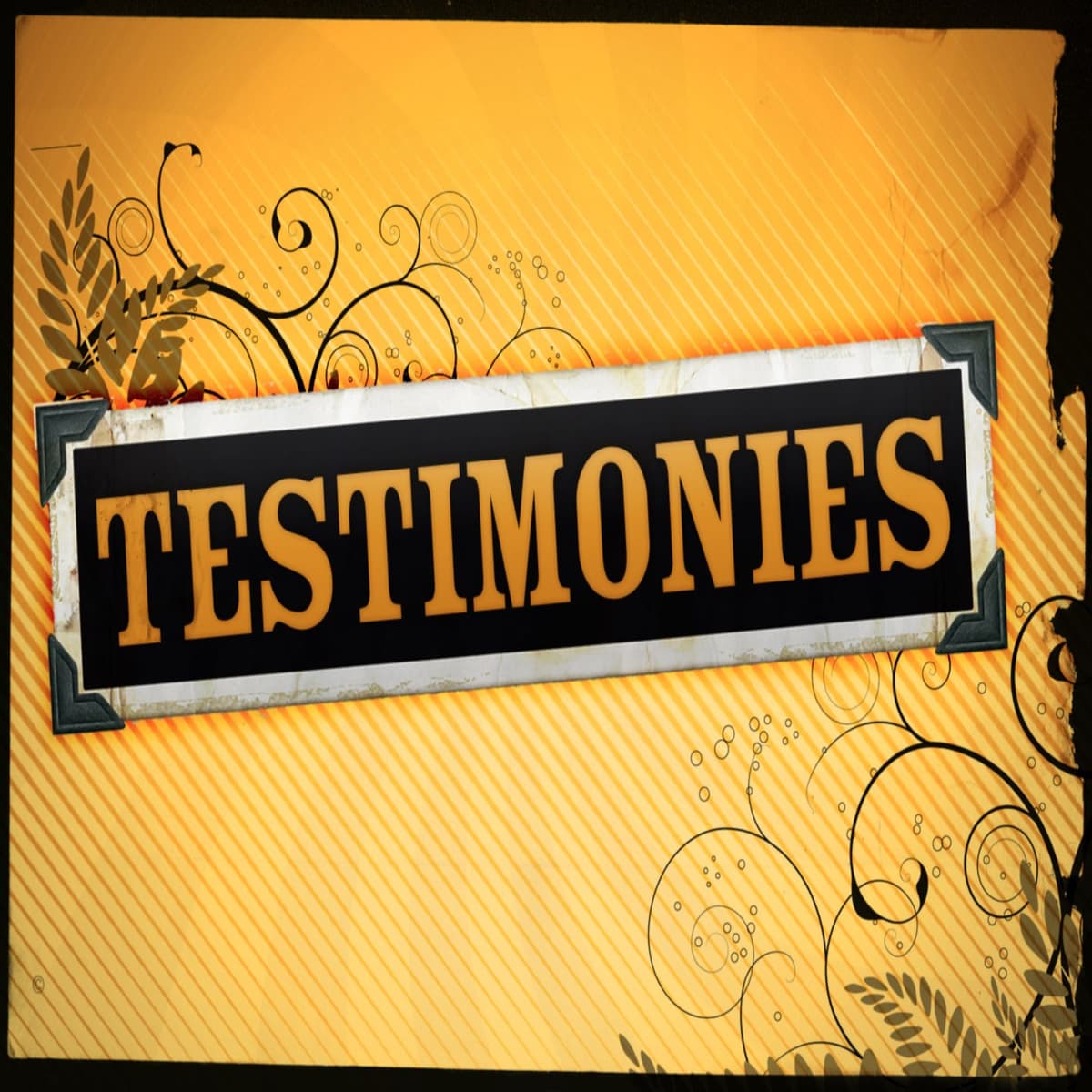 Risking everything for a Bible - Divine Revelations cover