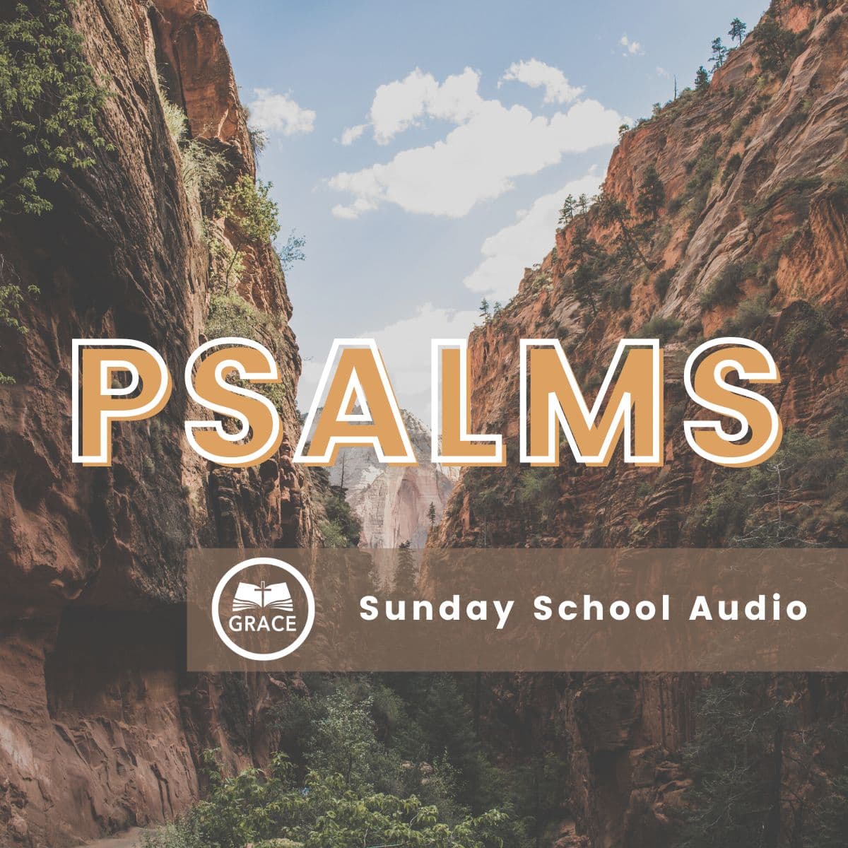 A Singular Hope in God - Grace Bible Church - Psalms Sunday School cover