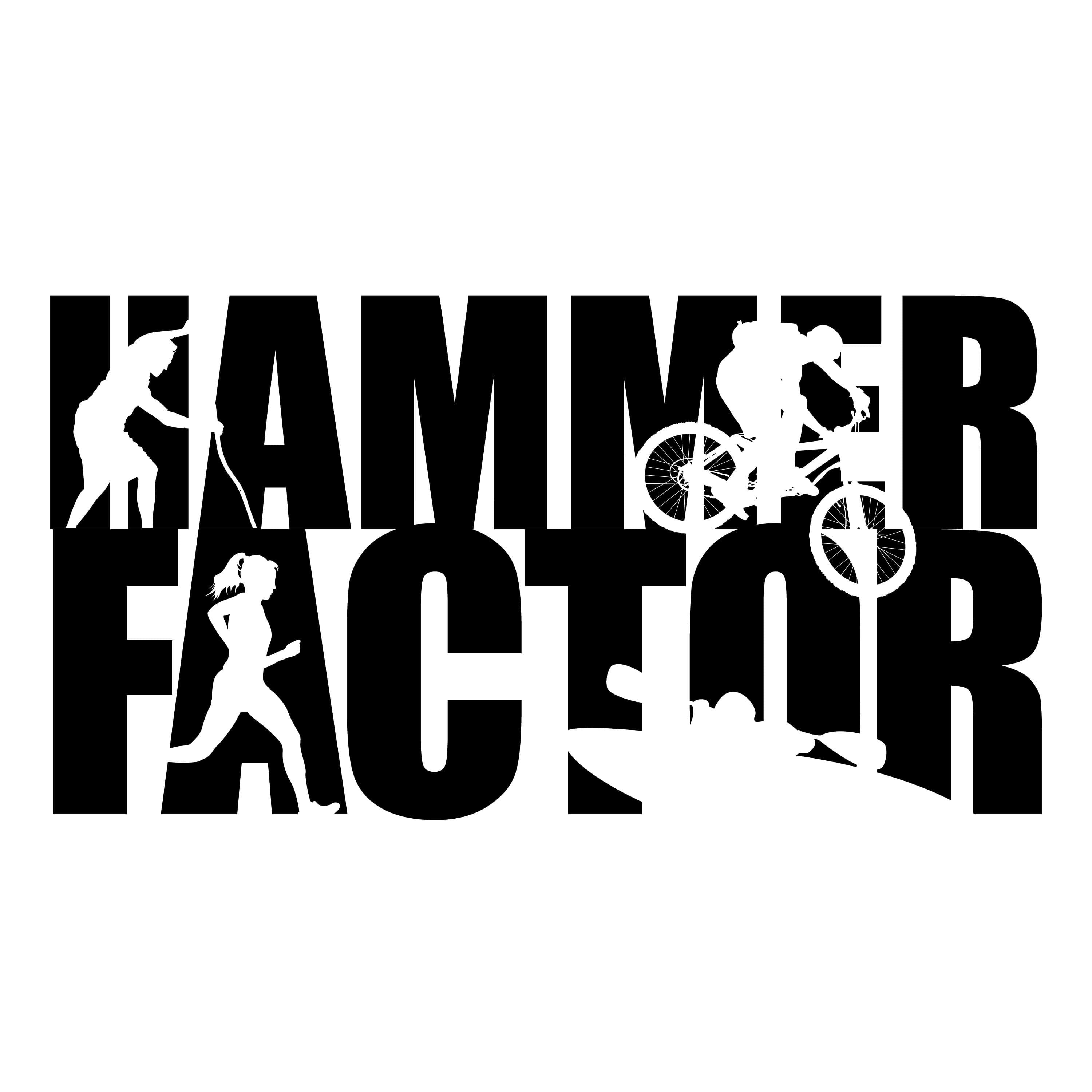 The Hammer Factor cover