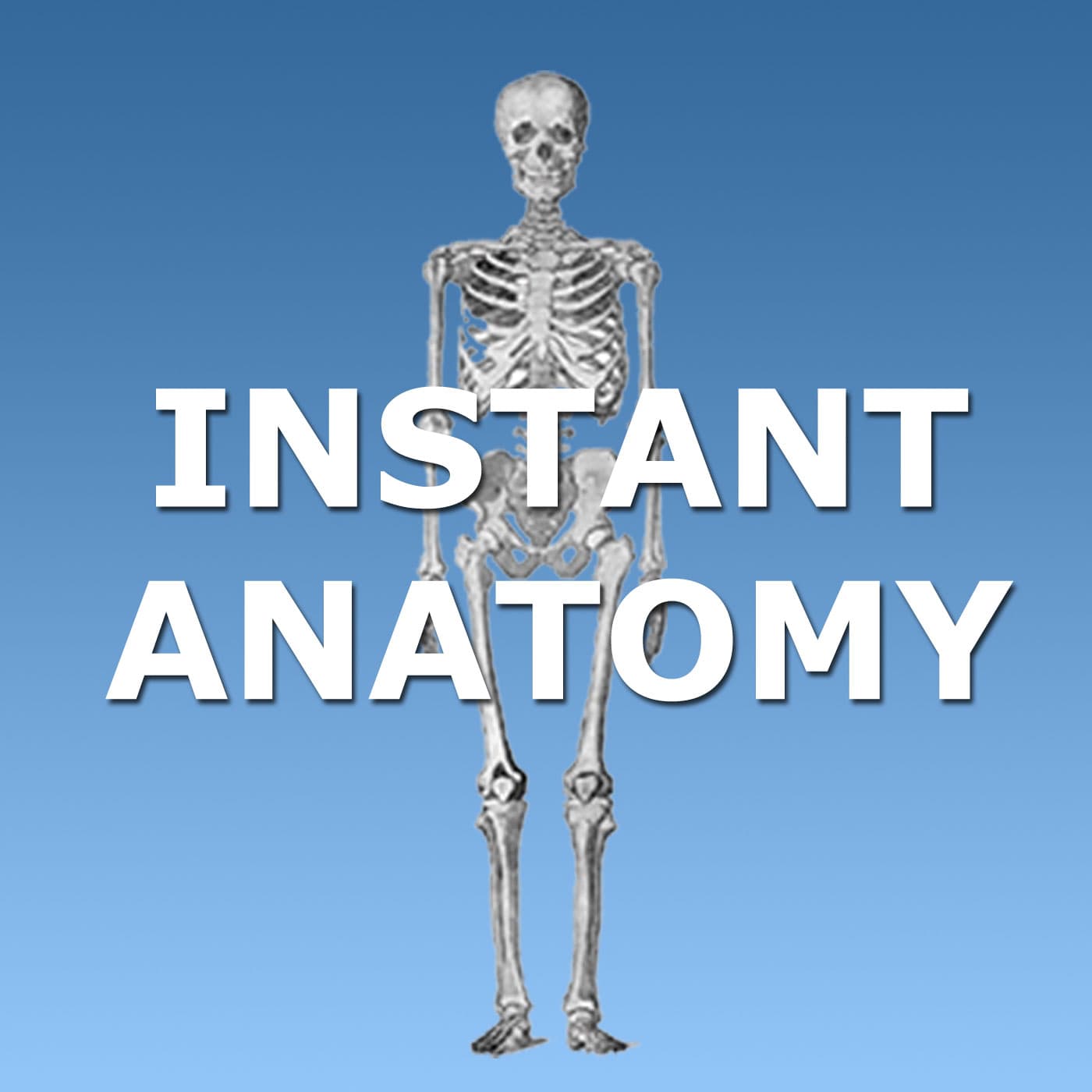 Instant Anatomy cover