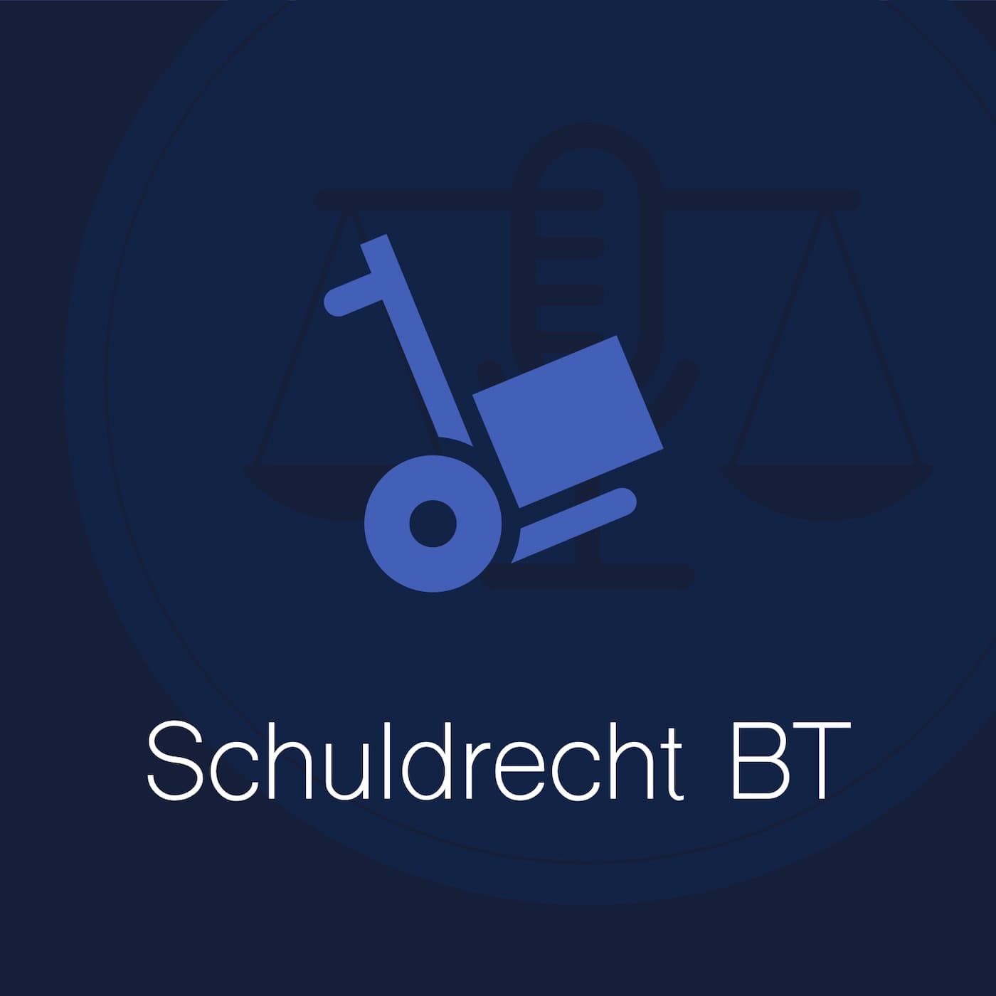 Vorlesung Schuldrecht BT cover