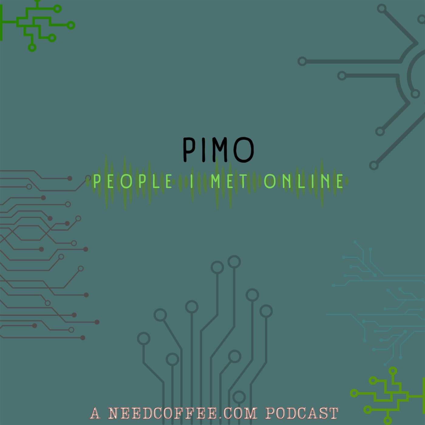 PIMO cover