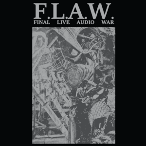 F.L.A.W. Fest / Ohio Report - NOISEXTRA - The noise podcast. cover