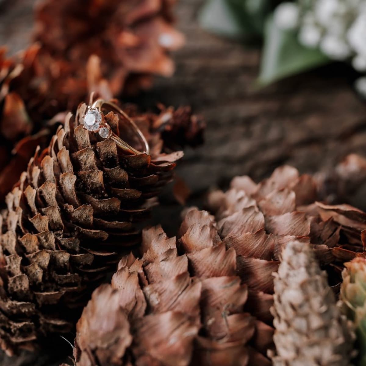 Décoration made in fort - Robin's Touch cover