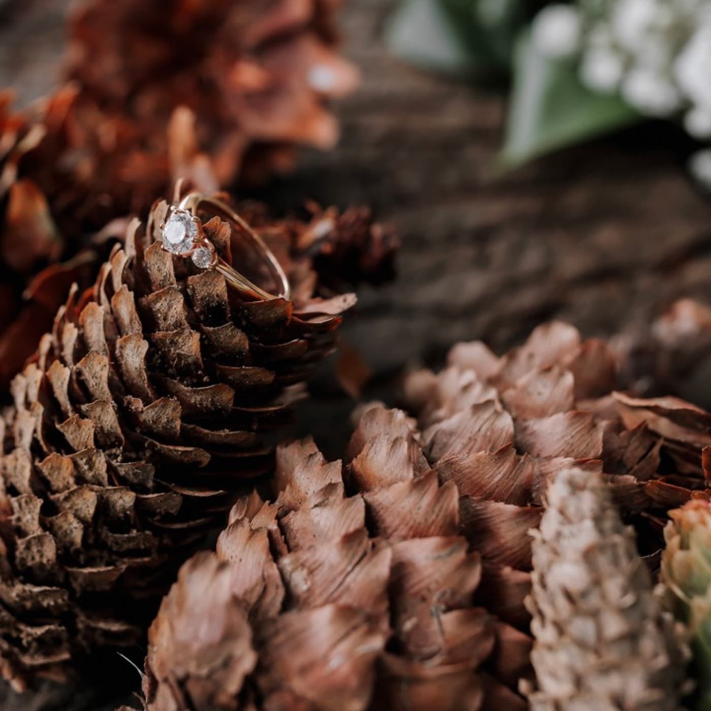 Décoration made in fort - Robin's Touch cover